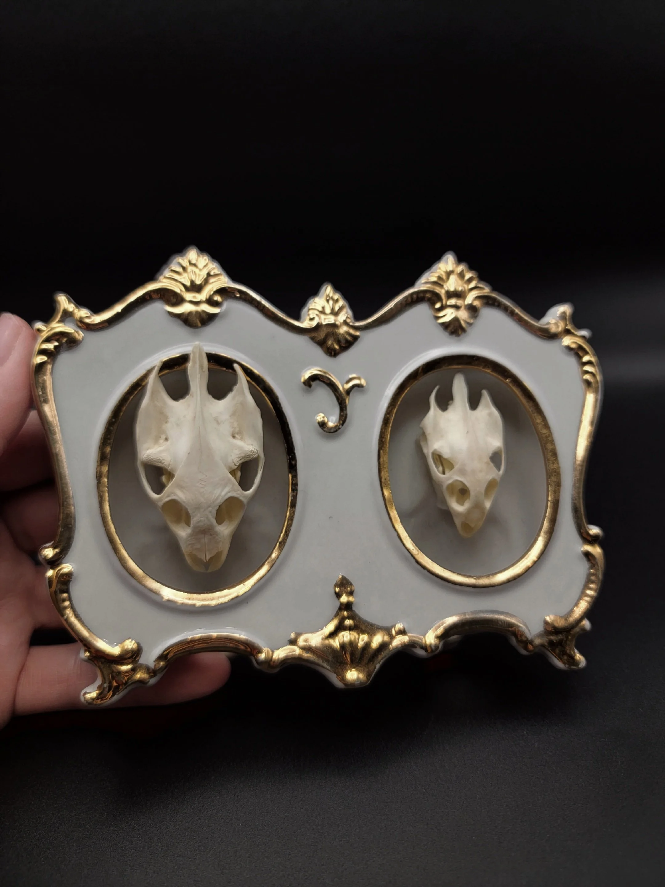 2turtleskull1.jpg