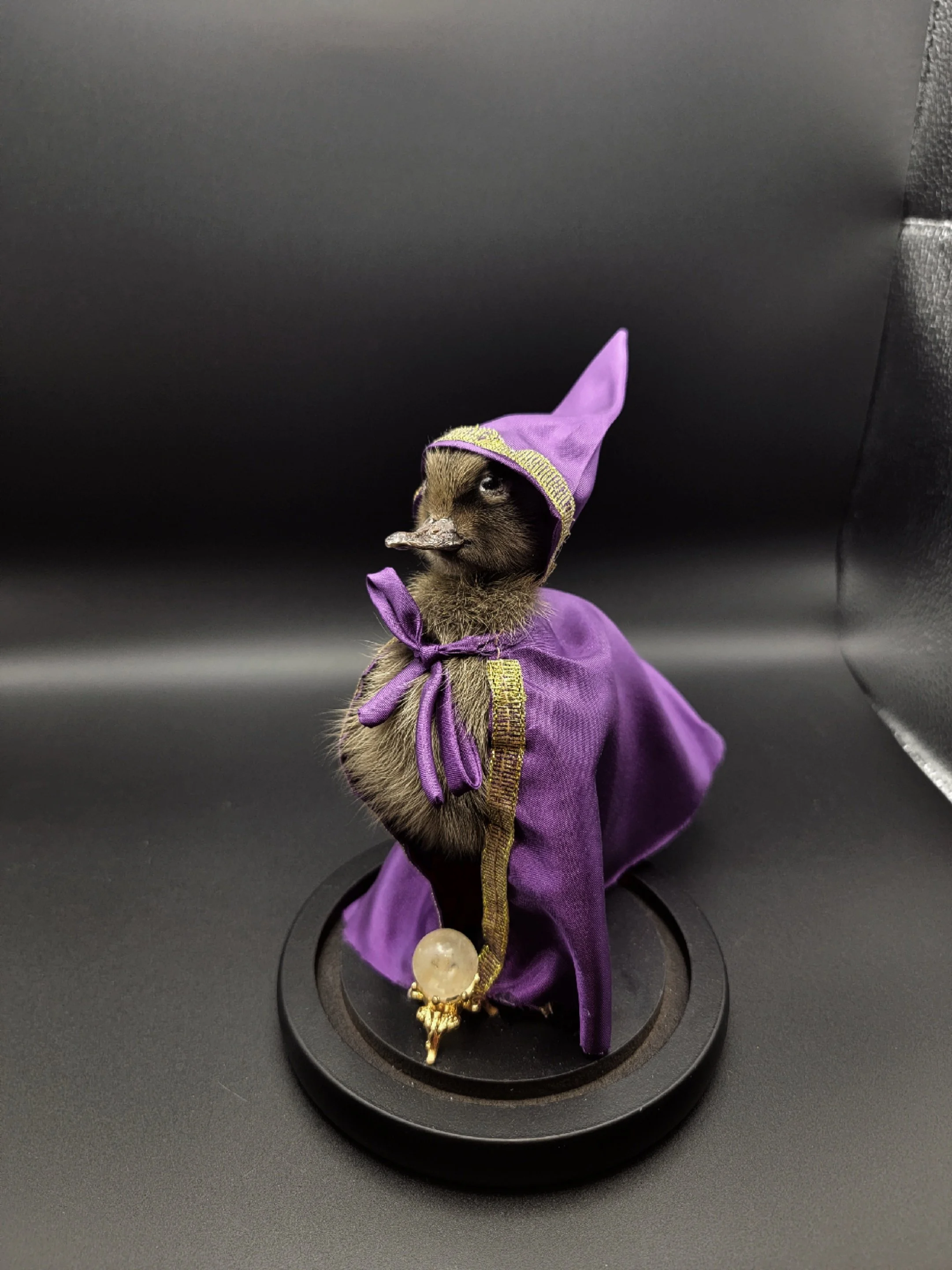 wizard duck2.jpg