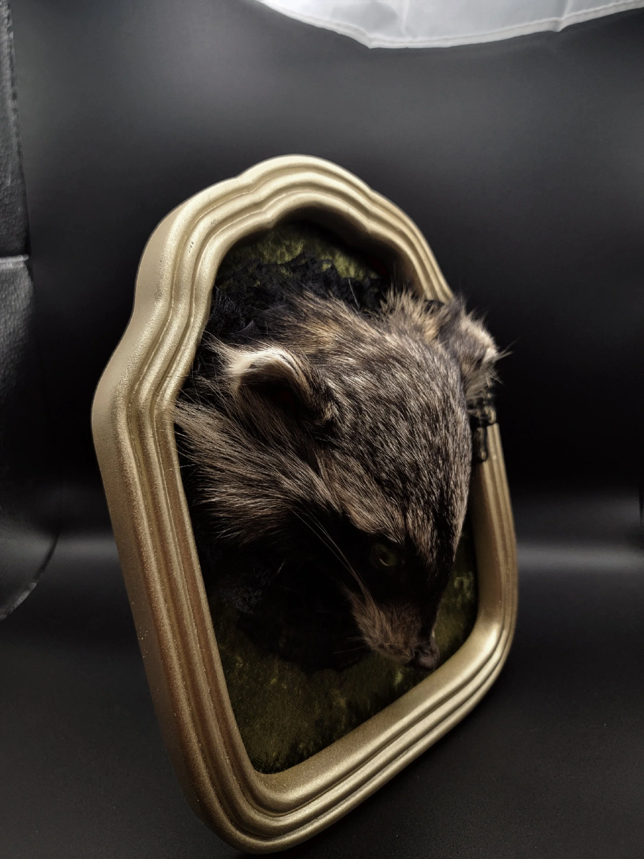 raccoonheadgold4.jpg