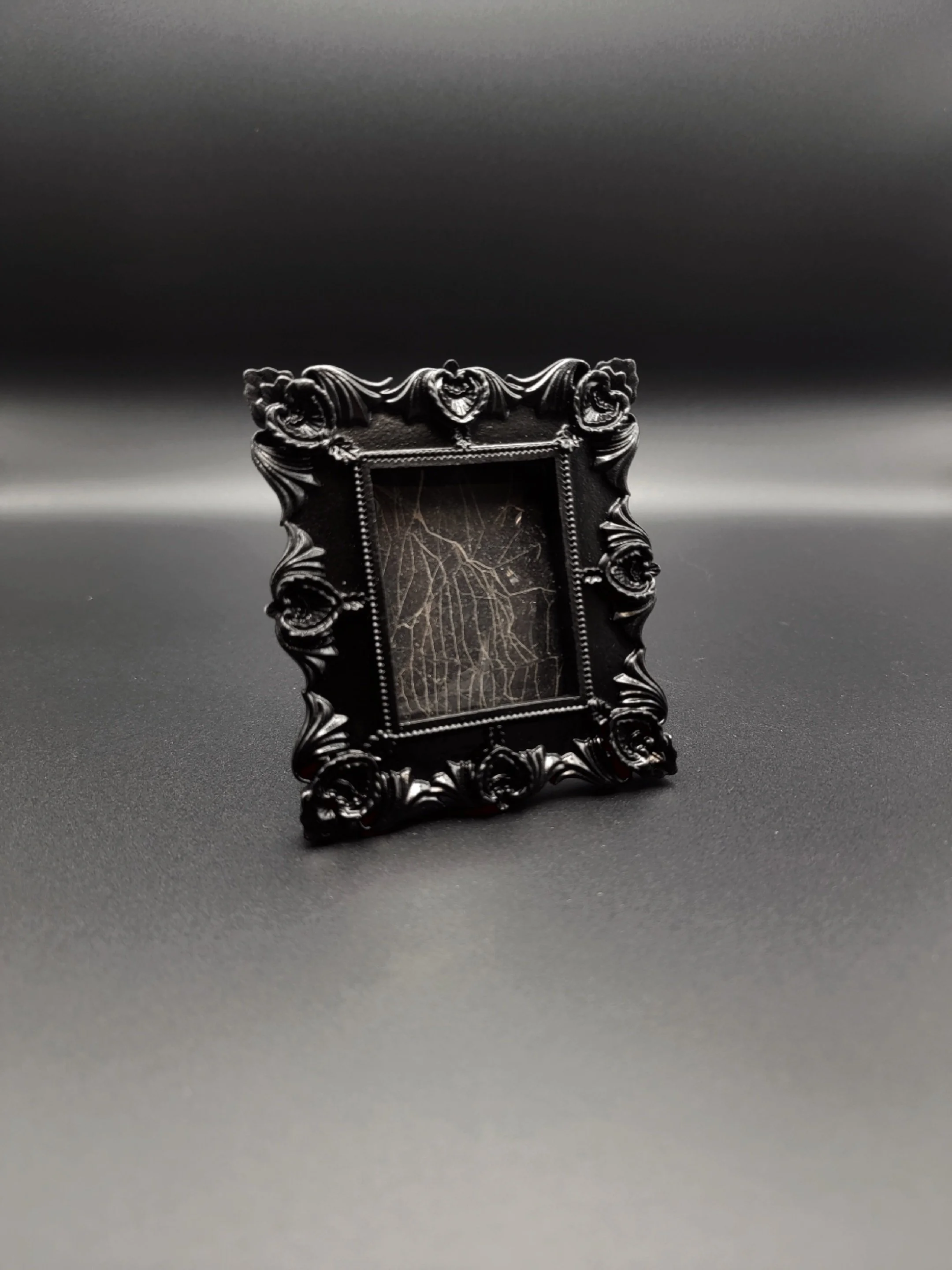 Extra small real framed spiderweb