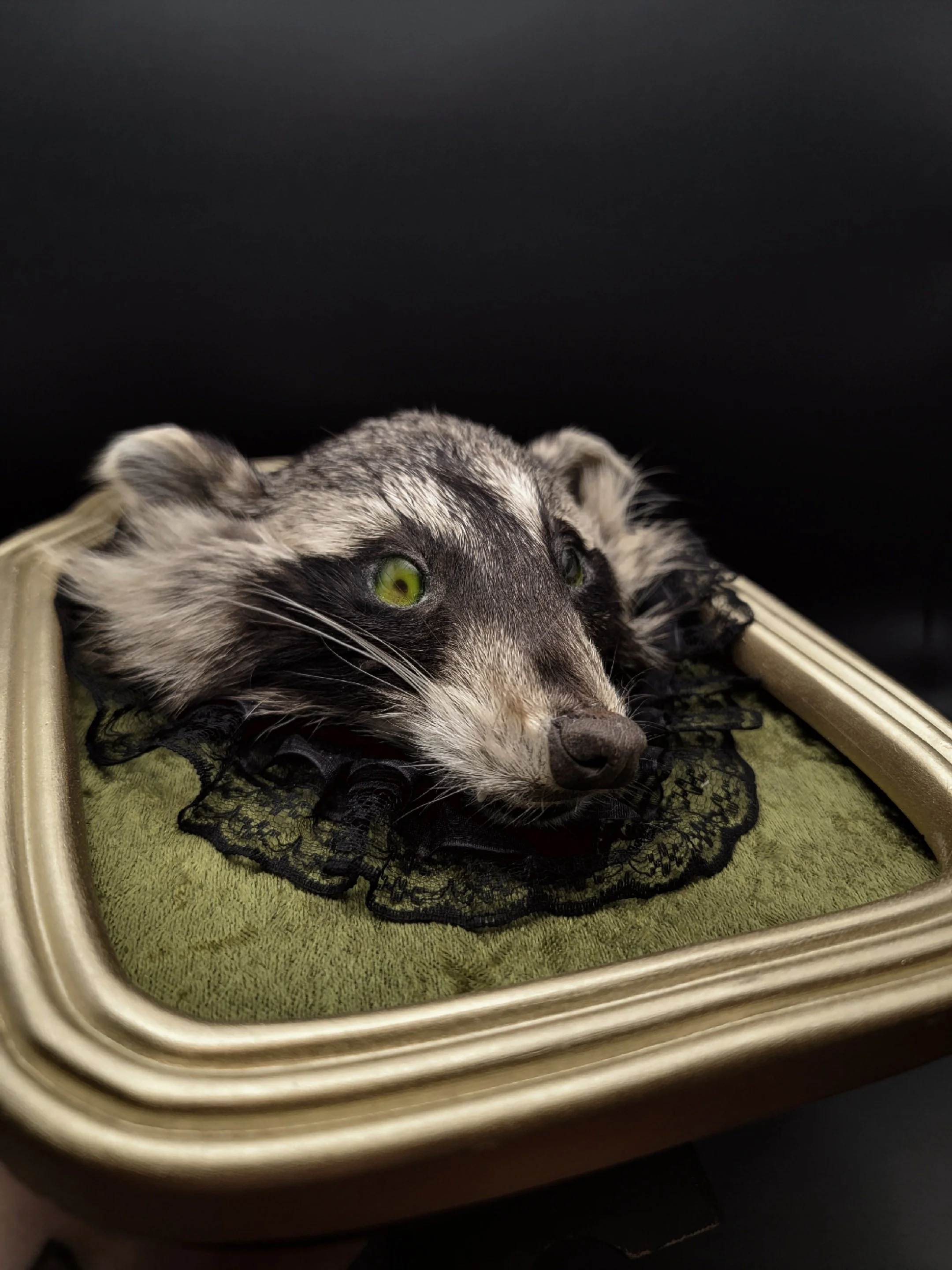 raccoonheadgold.jpg