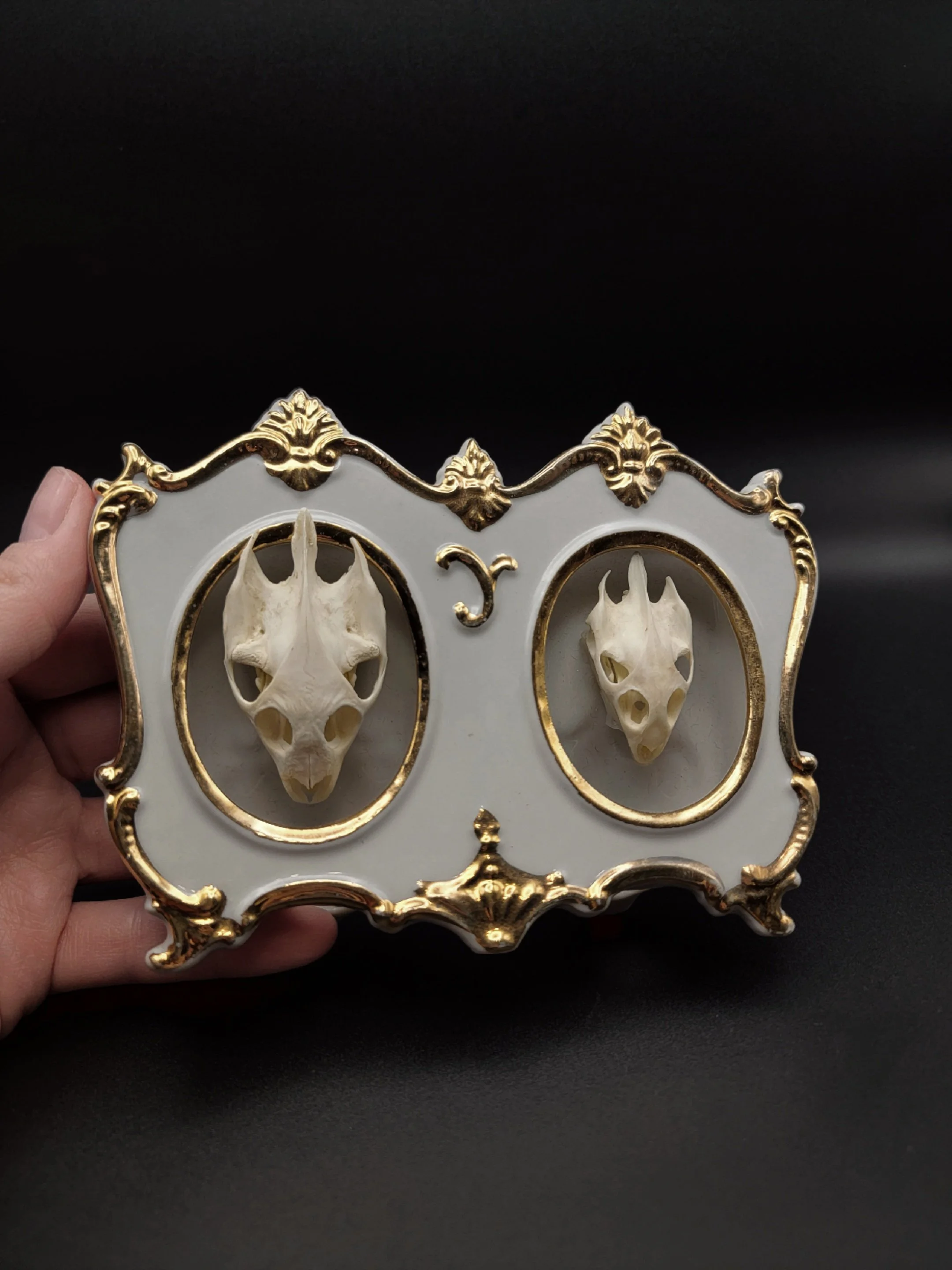 Double the trouble turtle skulls