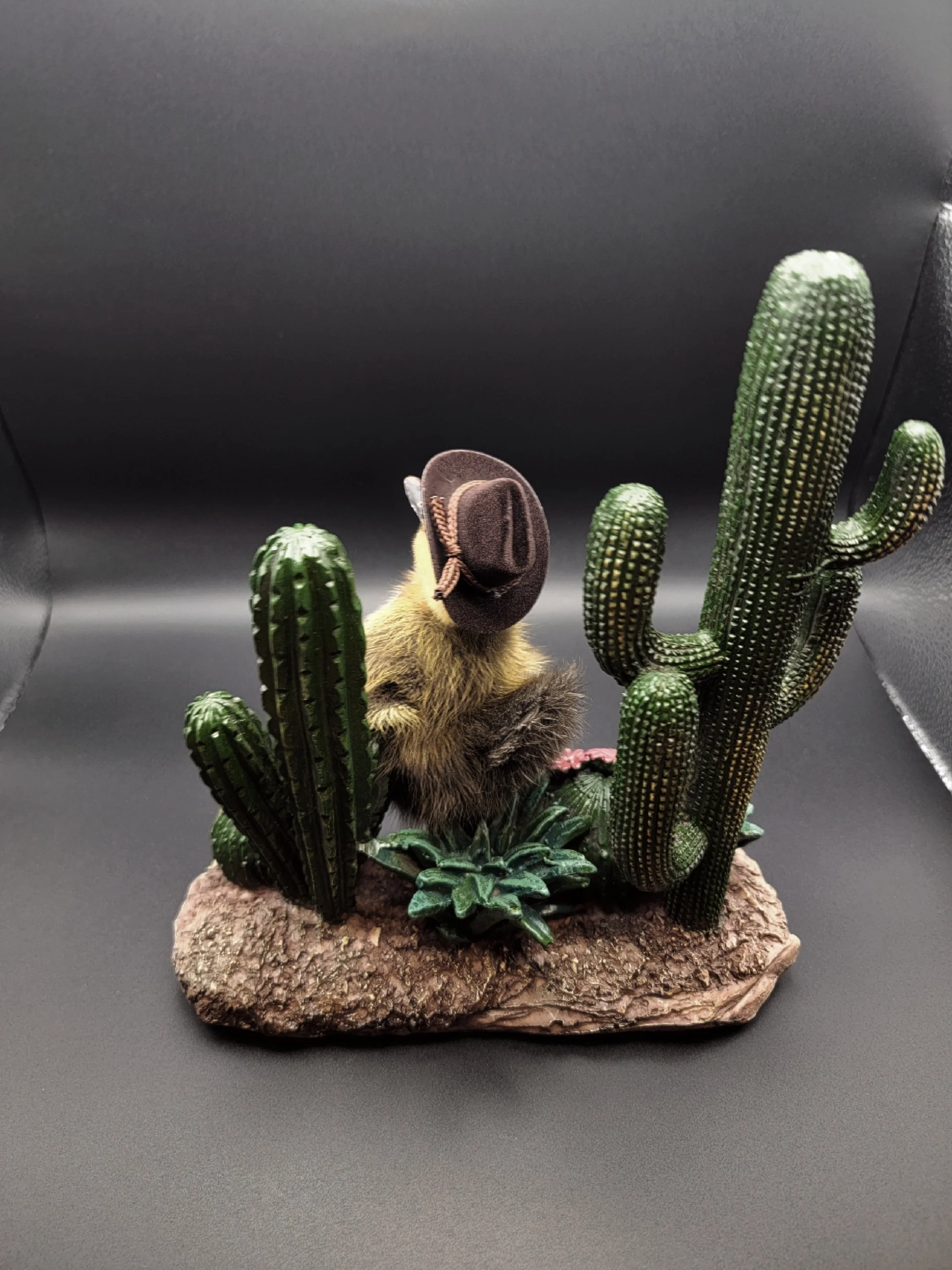 cactiduck6.jpg