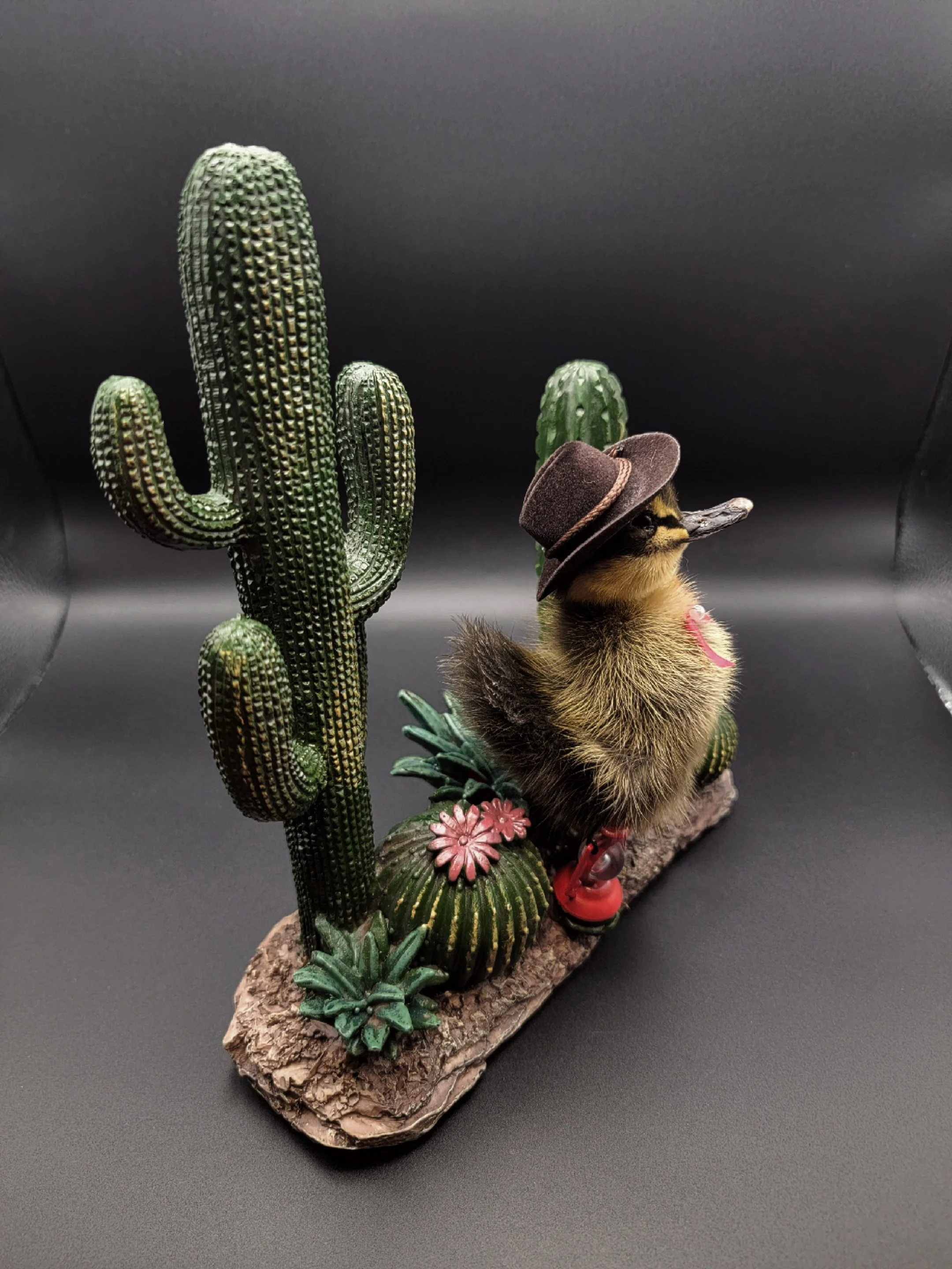 cactiduck2.jpg