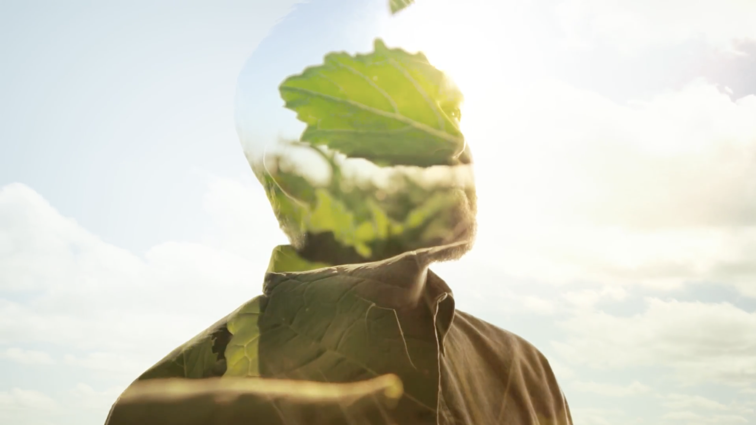 Screenshot 2025-11-13 at 10.35.03 AM.png