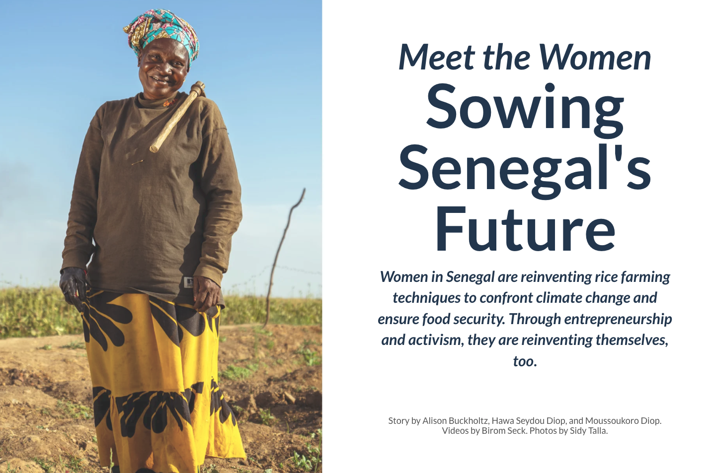 Meet the Women Sowing Senegal’s Future