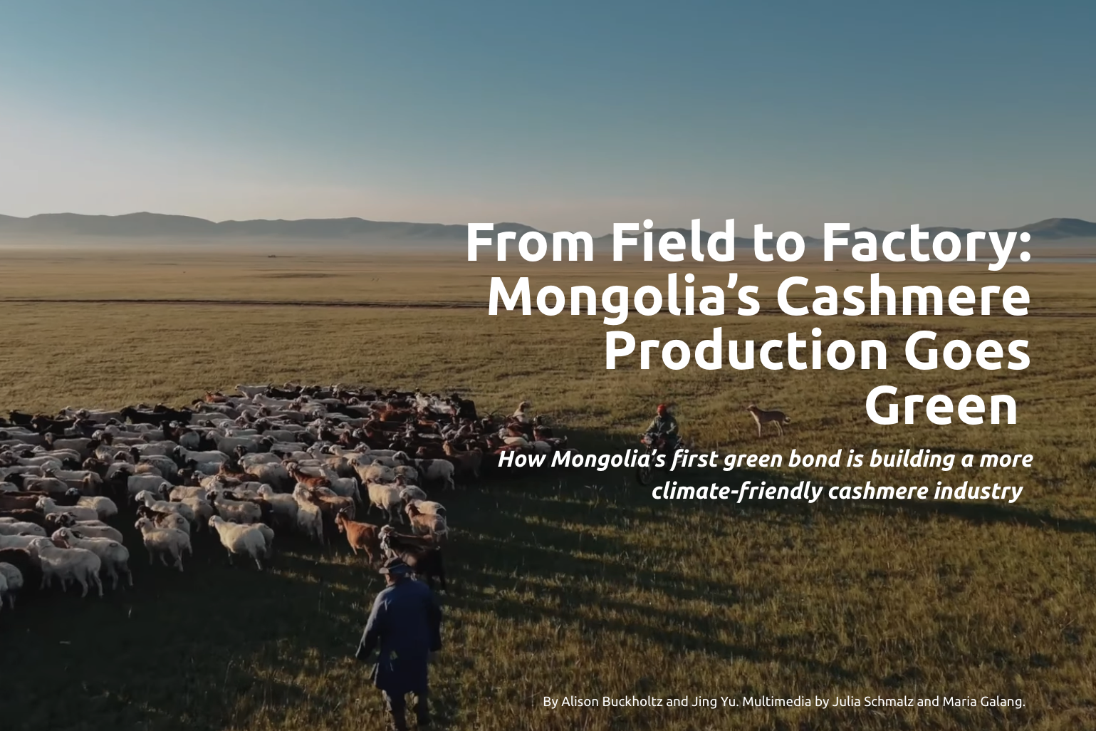 From Field to Factory: Mongolia’s Cashmere Production Goes Green
