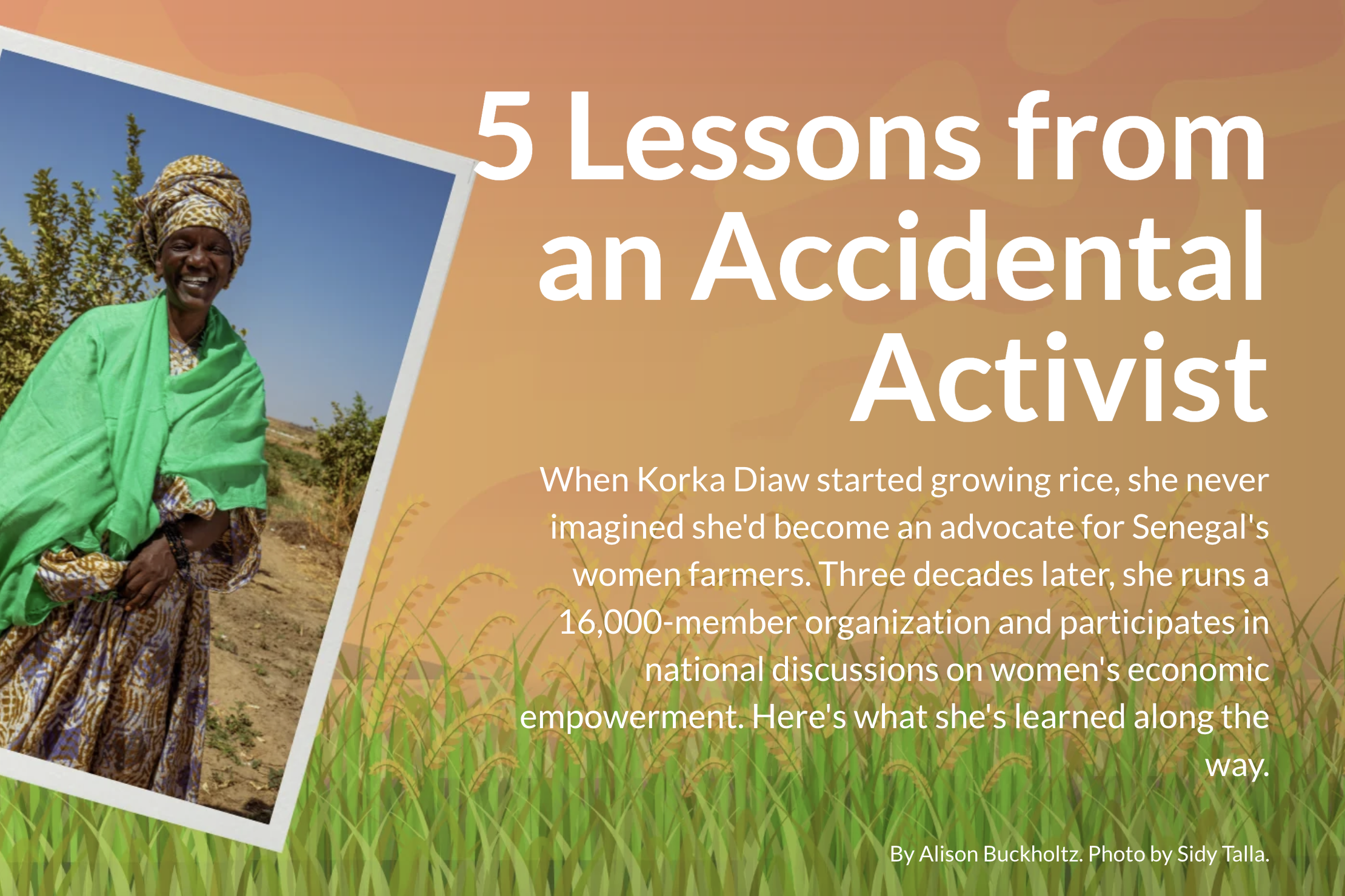 5 Lessons from an Accidental Activist
