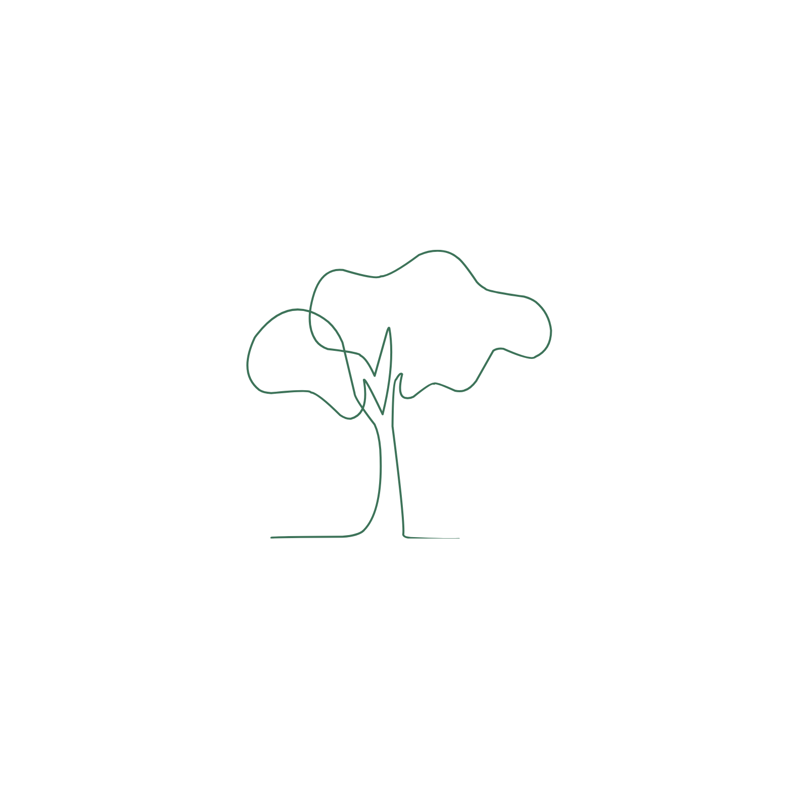 Line drawing of a tree with a green outline on a white background.