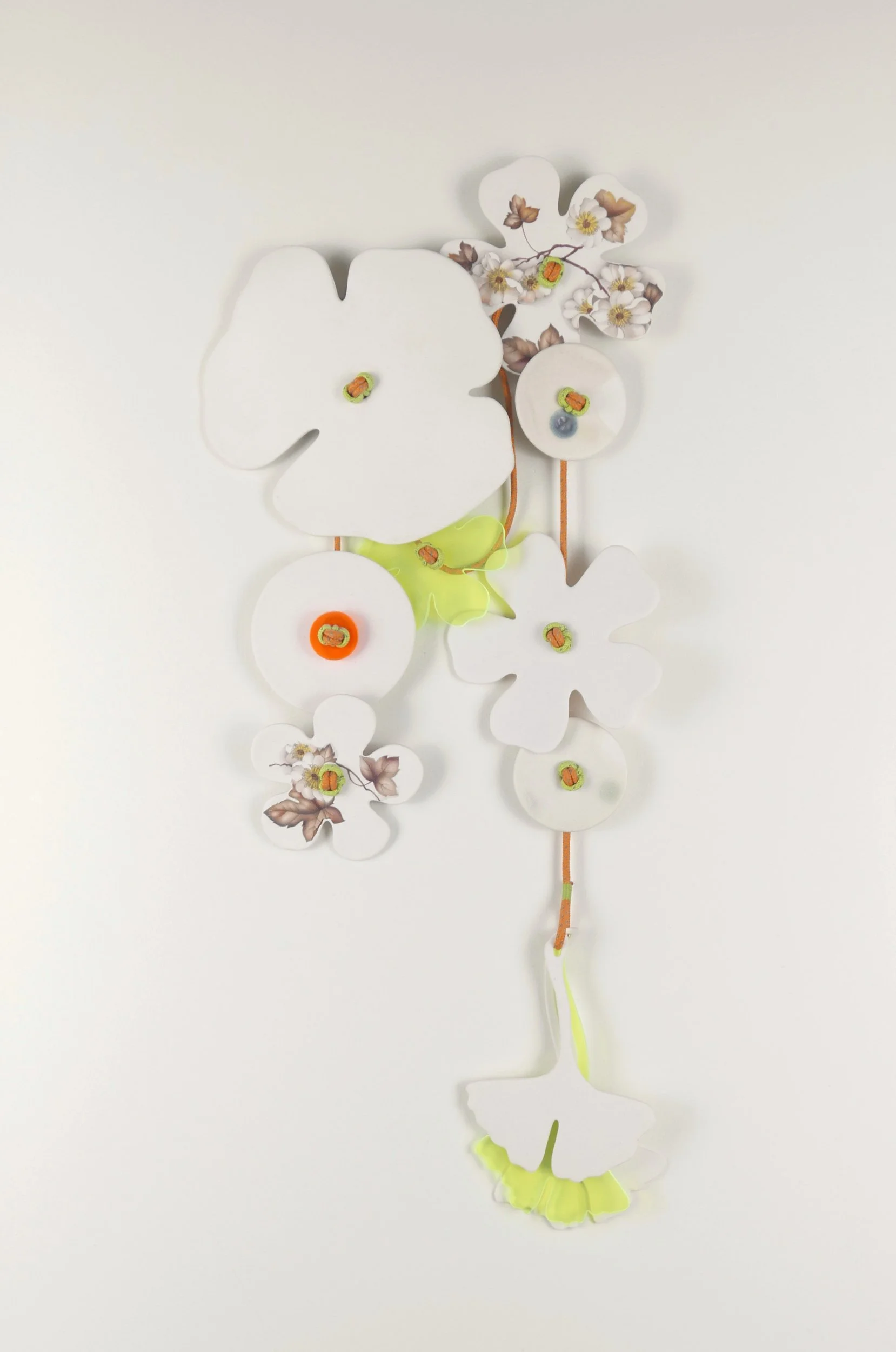 Flora 8