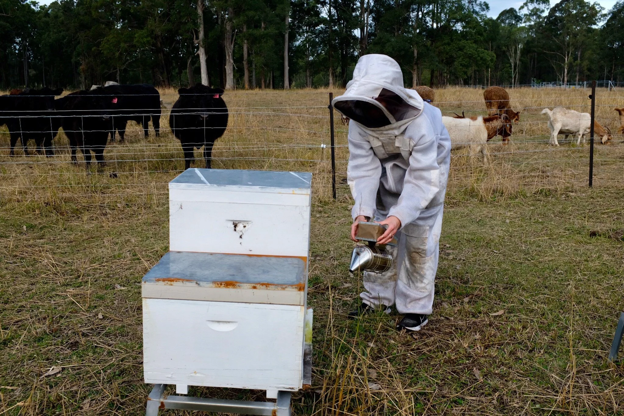 Beekeeper.JPG