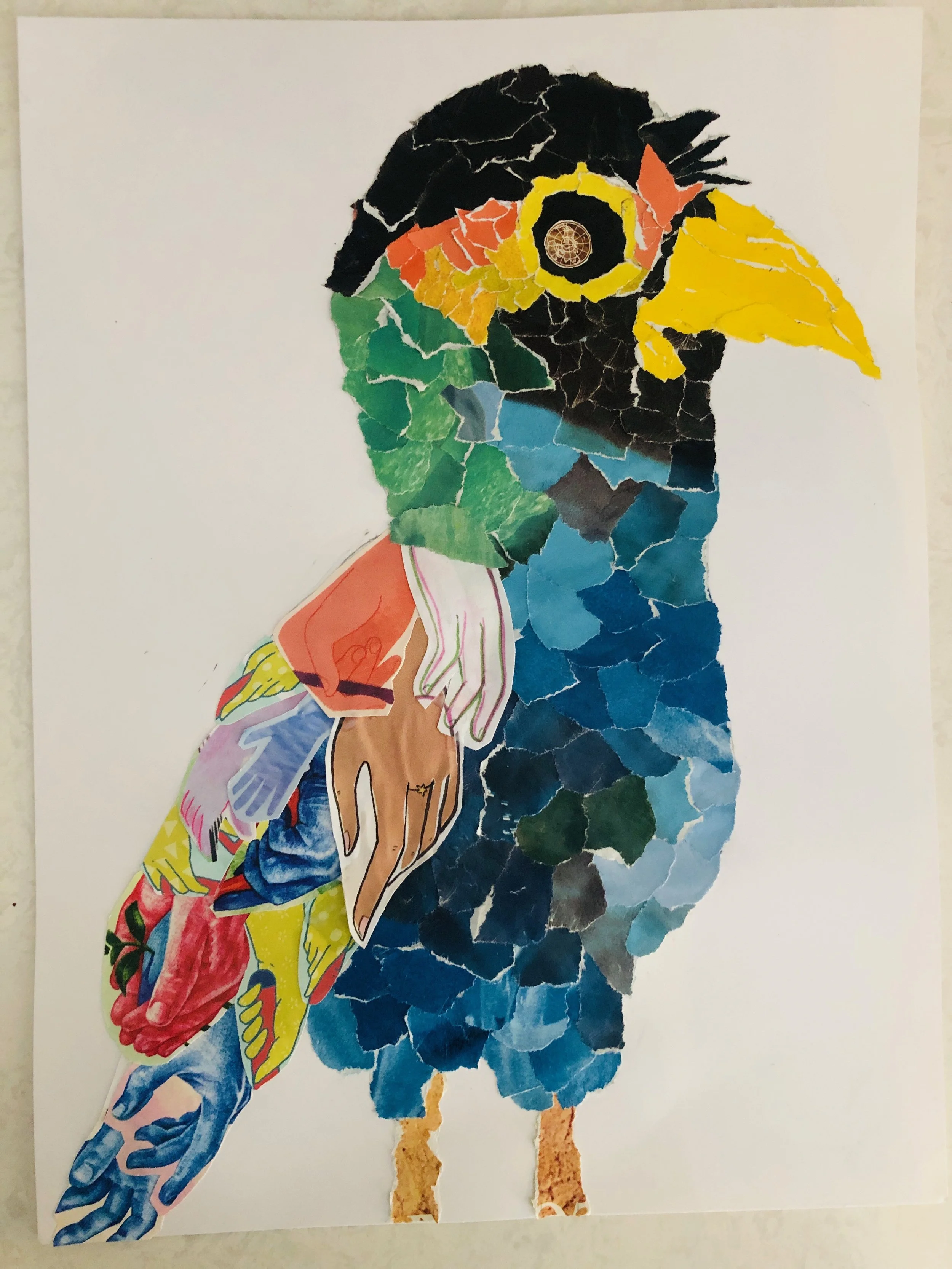 Collage art of a colorful bird made from torn paper and magazine cutouts, resembling a toucan with a yellow beak and black feathers, with various human hands in different skin tones forming the bird's body.