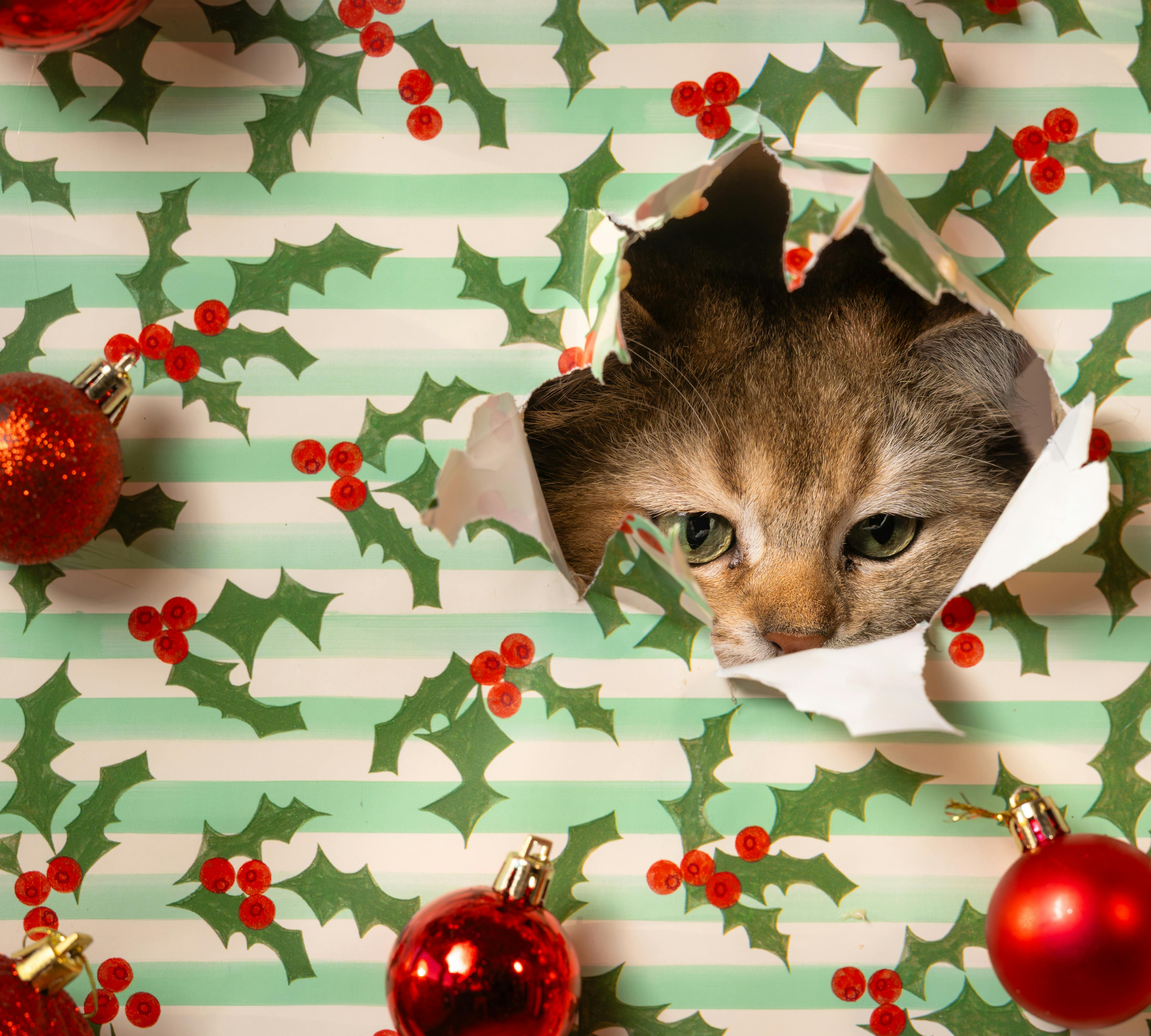 How to Keep Your Cool During the Holidays