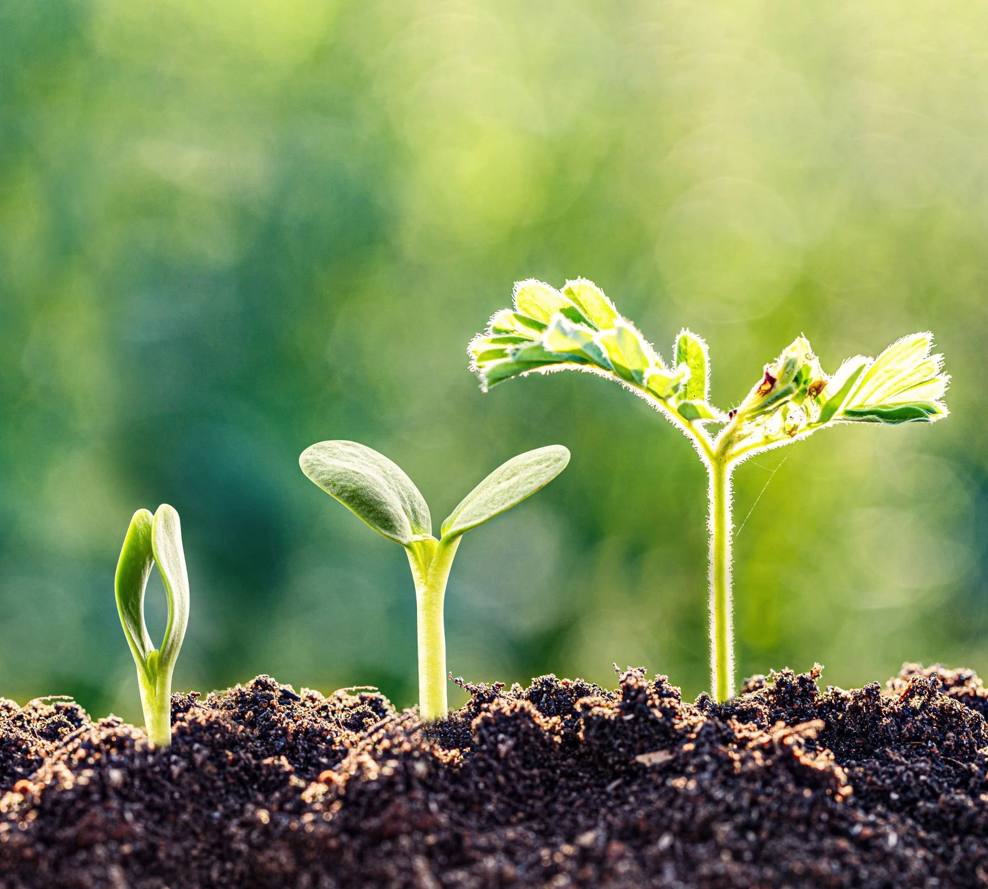 2024: A New Year = A New Me, But Does it Really????!!!