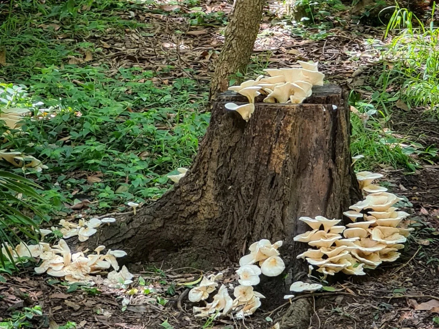 The toll of chronic masking: crashing into AuDHD burnout