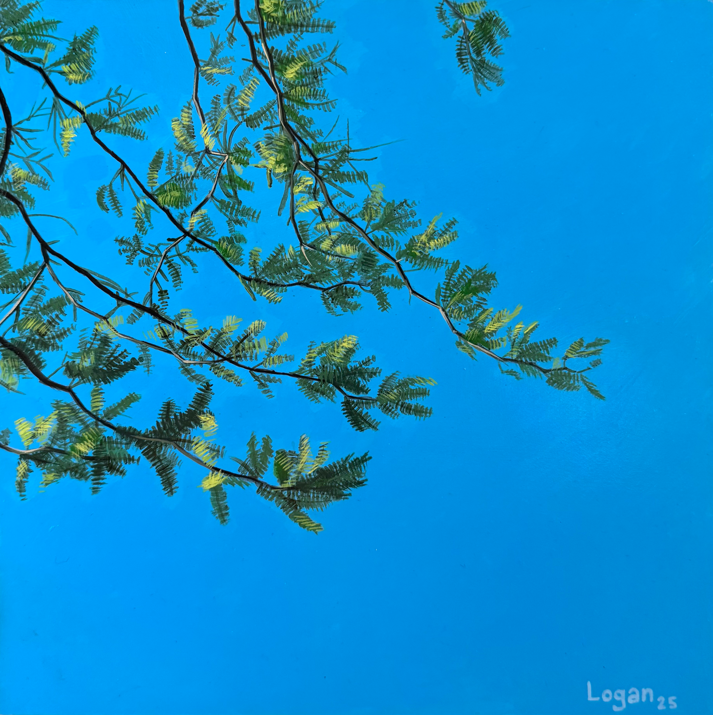 Branches Overhead 1