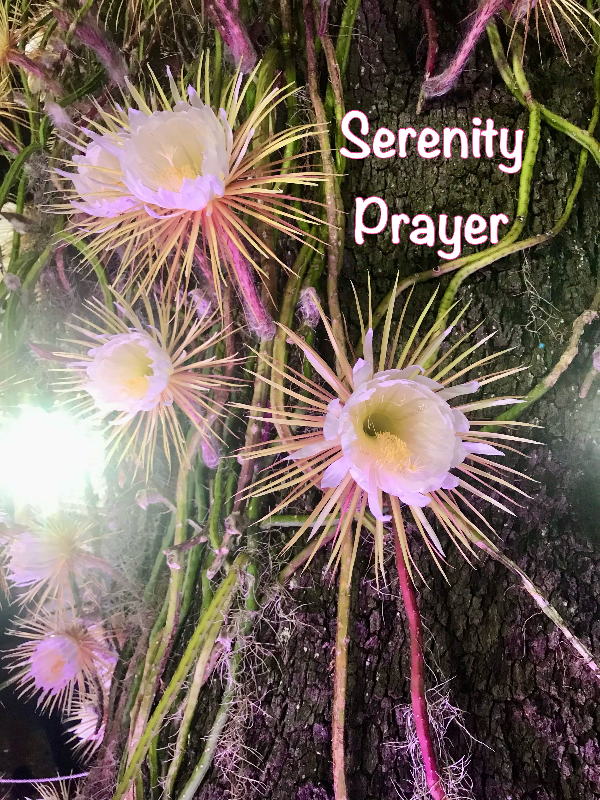 Serenity Prayer