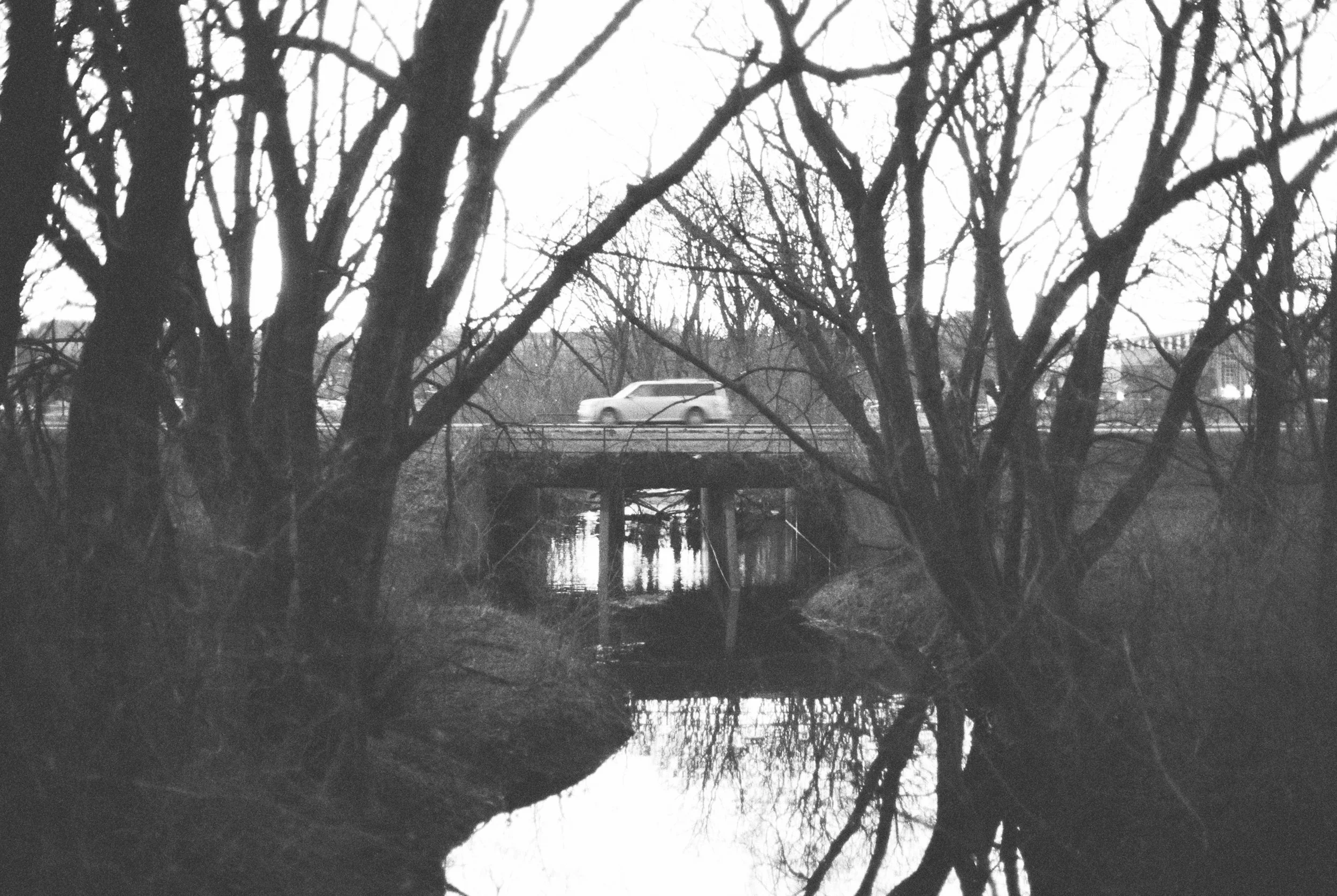finianhuggins-7.jpg