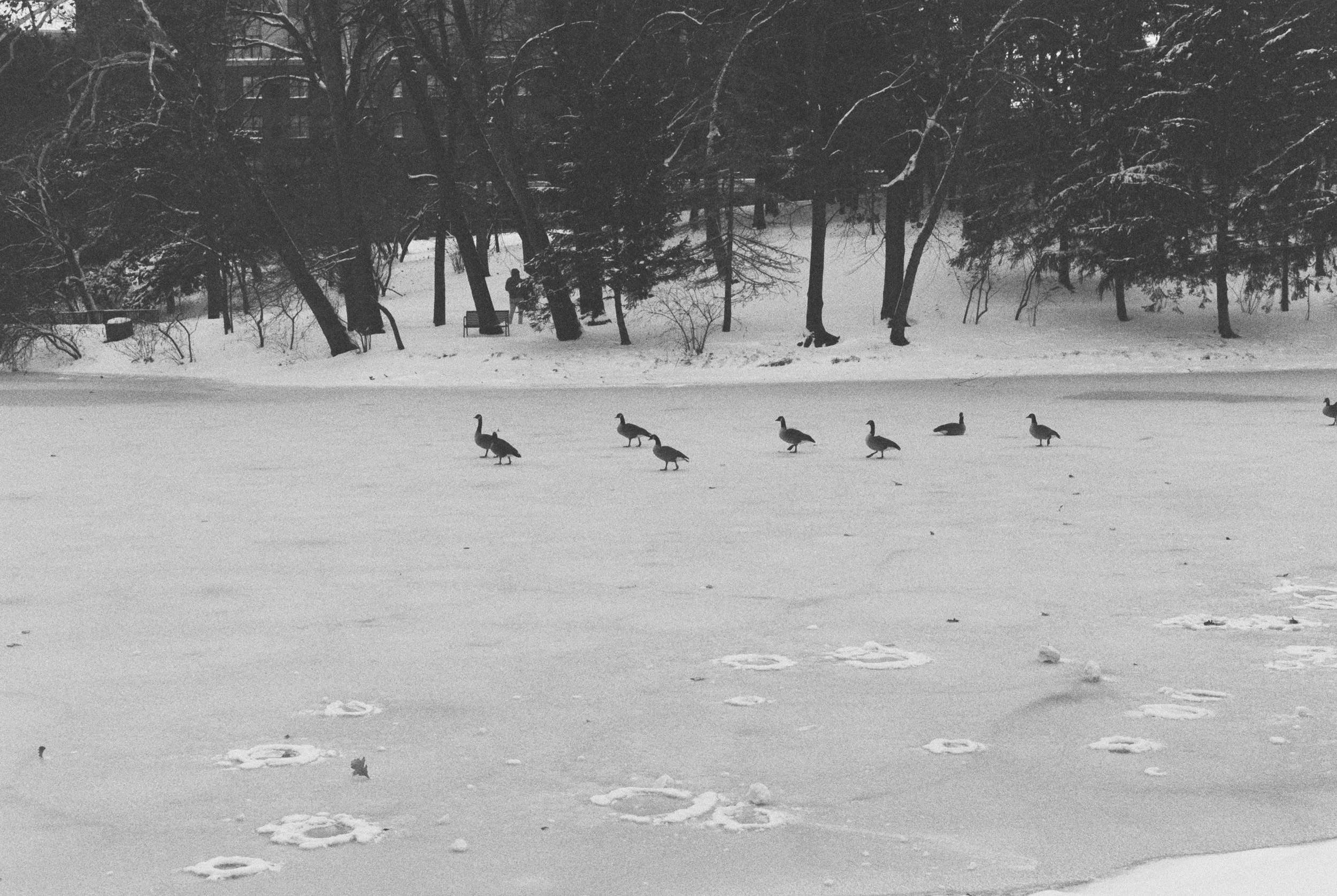 HP5 +2 Stops
