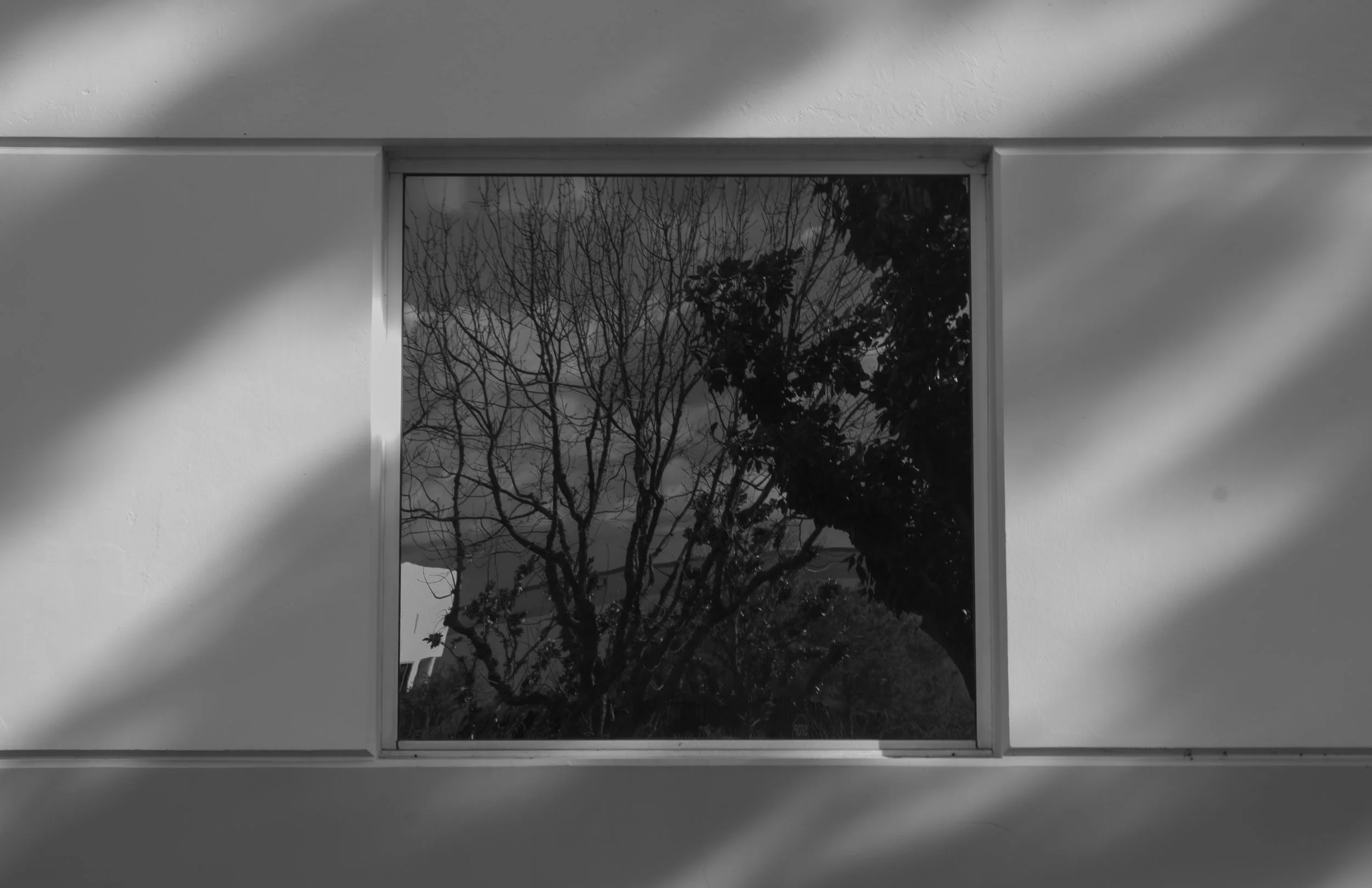 Wu_Koyou_VCD2361A-02_Spring2025_Mentor  (2).jpg