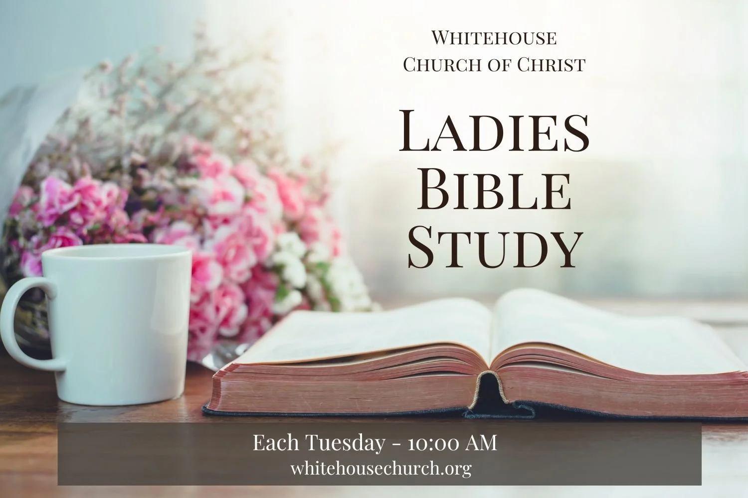Tuesday Ladies Bible Study