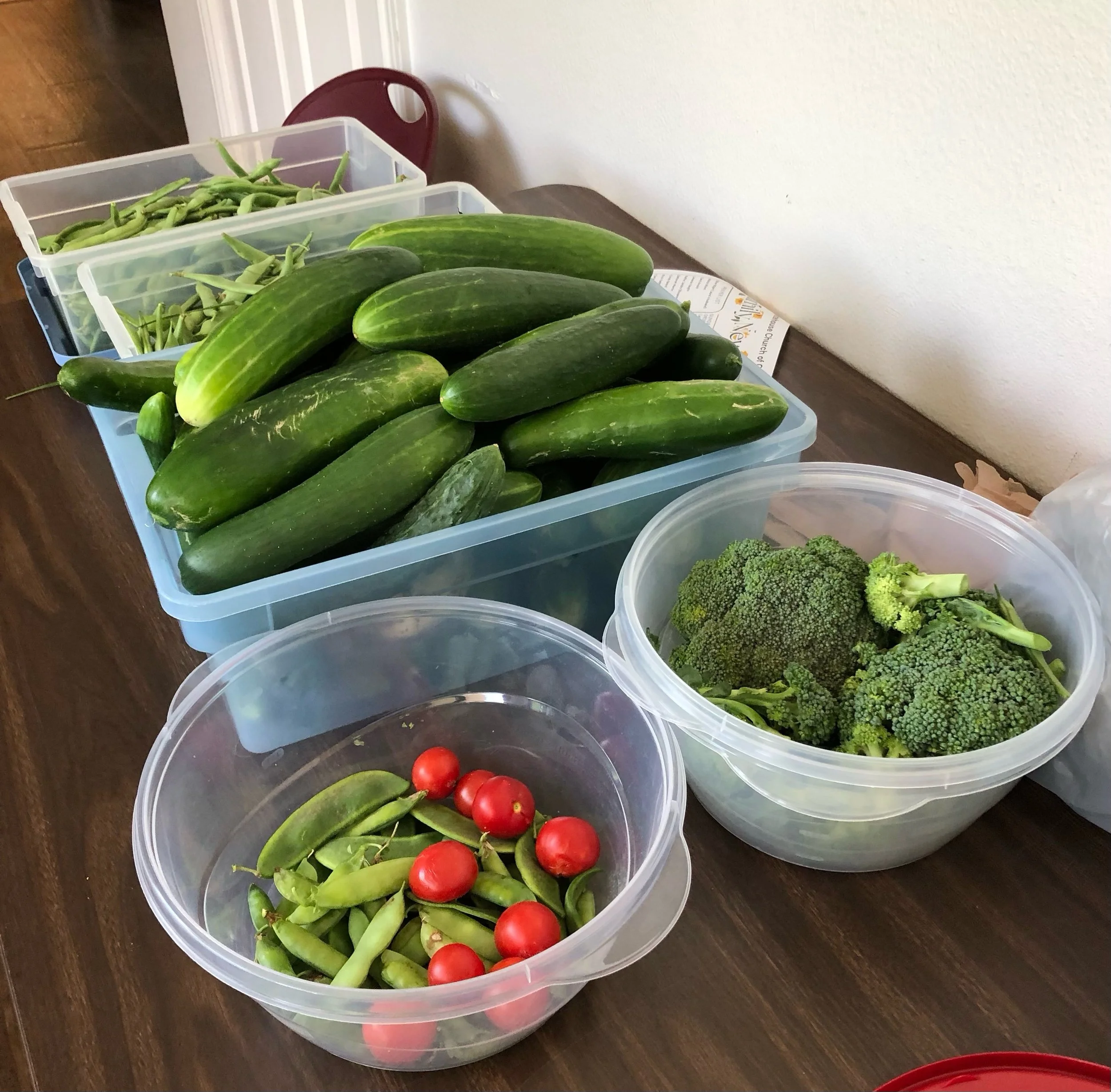 Fruits of Faithful Hands