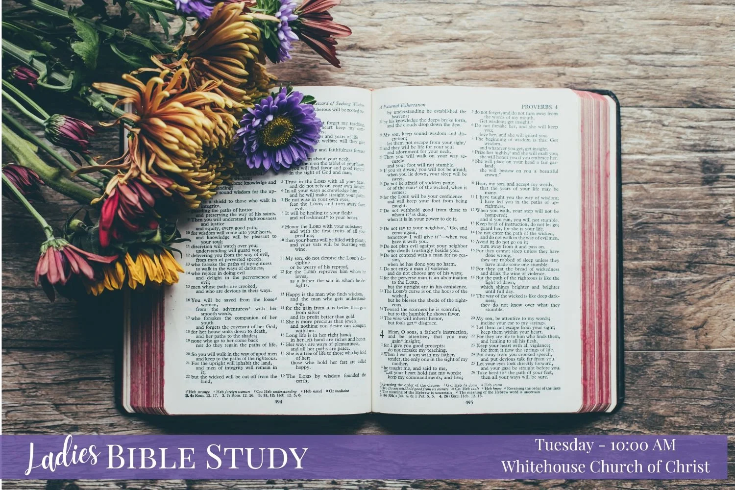 Tuesday Ladies Bible Study 