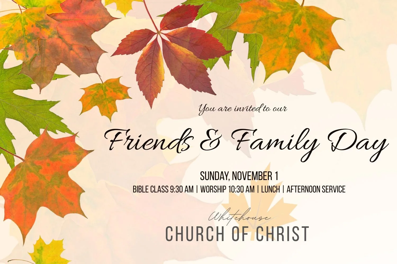 Friends &amp; Family Day