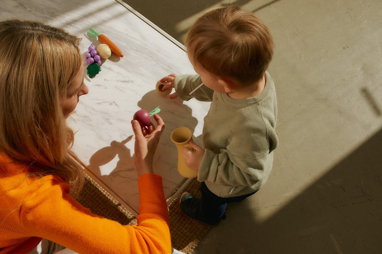 Behavioral Schema: Your Child's Secret Playbook for Learning and Development