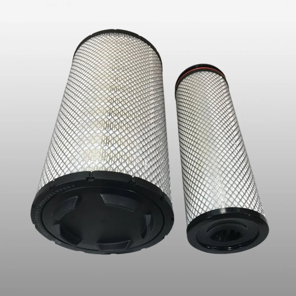 Filtro WG9X25190062-1