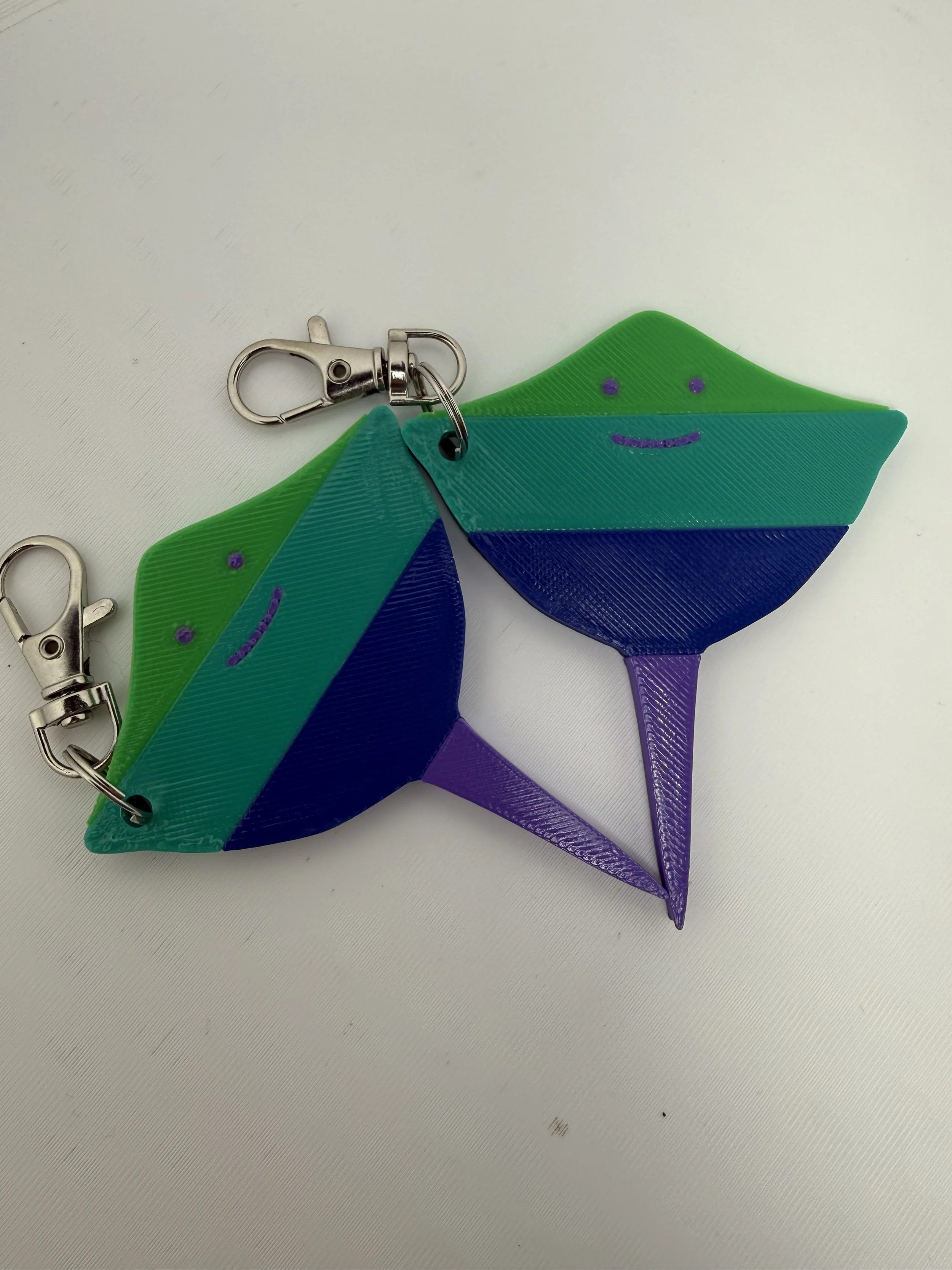 Gay Ray Keychain 🌈