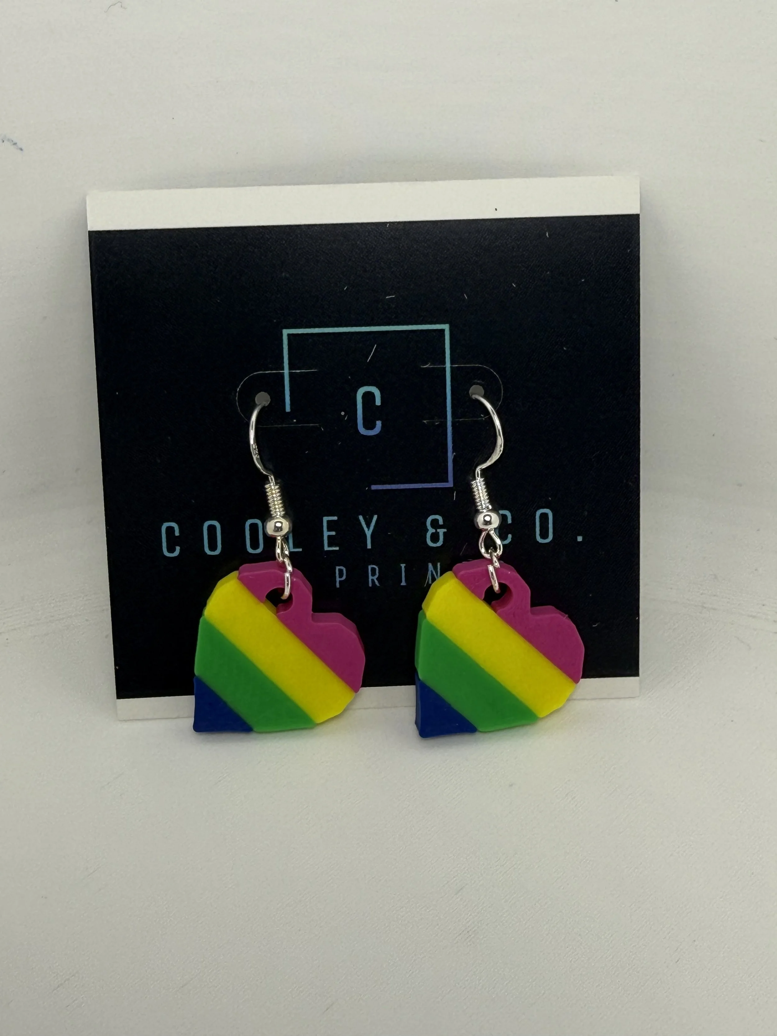 Pride Rainbow Earrings 🌈