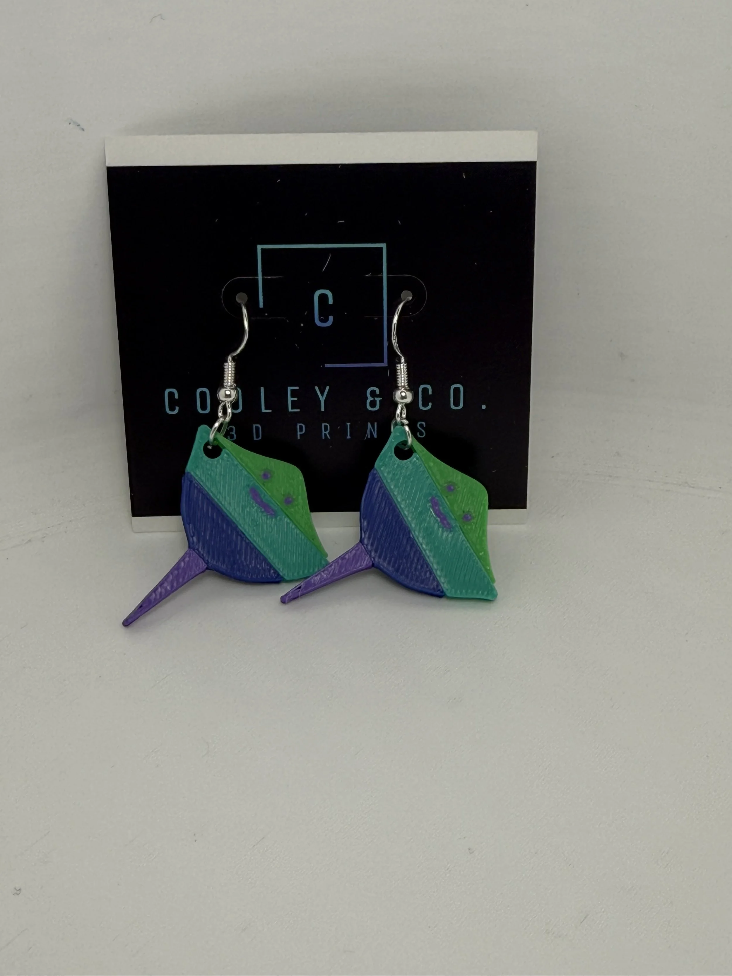 Gay Ray Earrings 🌈