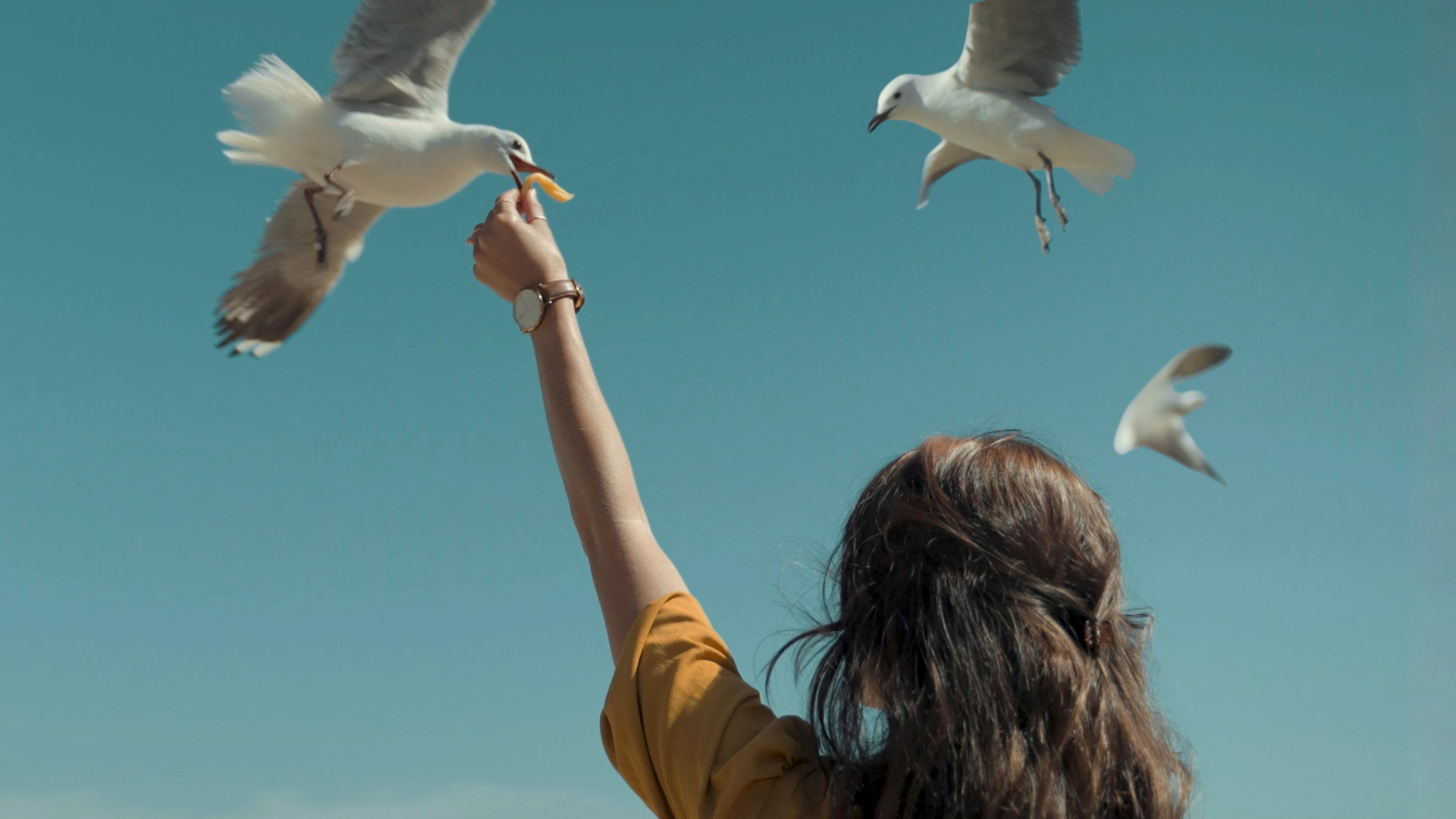 Nuori tyttö ojentaa ranskanperunaa päänsä yläpuolella lenteleville lokeille, taustalla turkoosi taivas. 