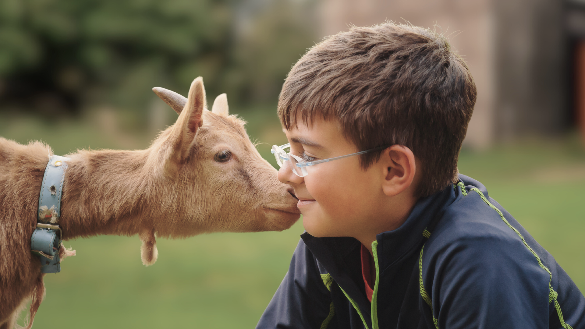 Nuori, hymyilevä poika ja vaaleanruskea vuohi tekevät läheistä tuttavuutta kasvotusten. 