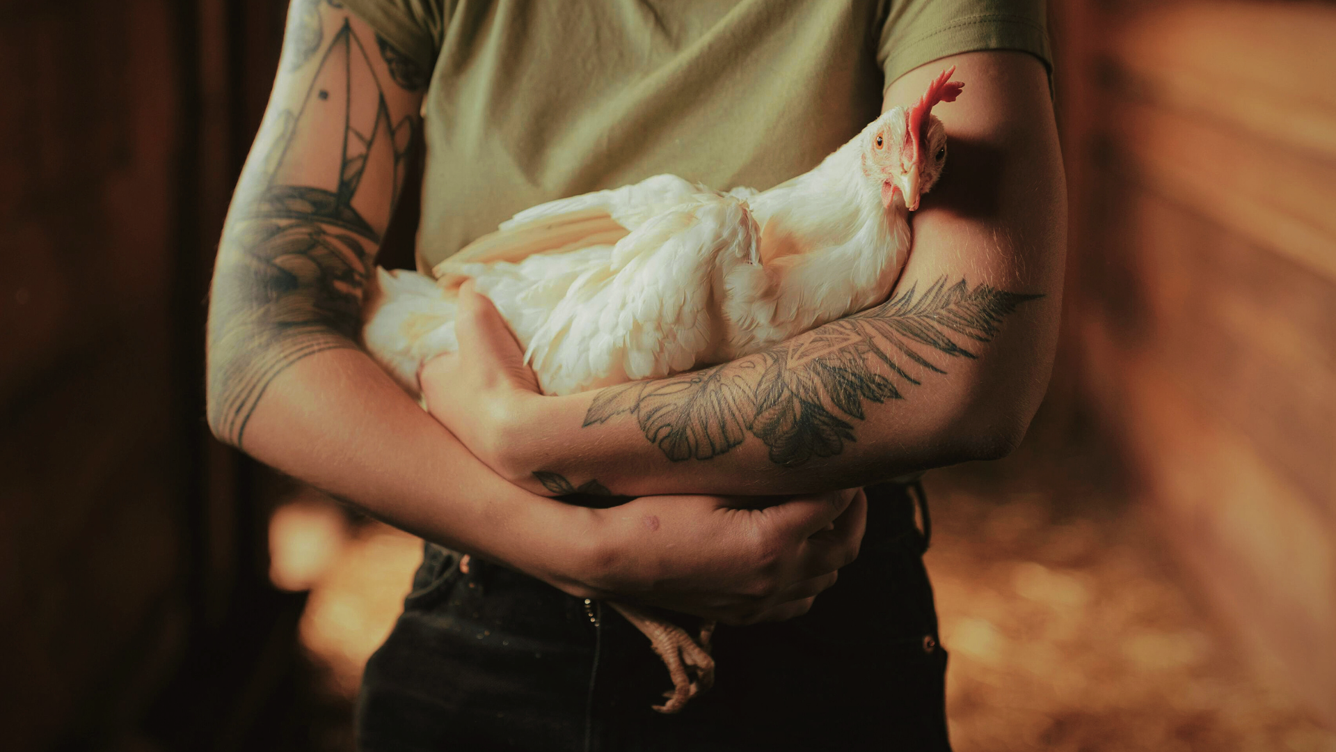 Käsistä tatuoitu nainen pitää sylissään pientä valkoista kanaa, taustalla tallin puuseinä.