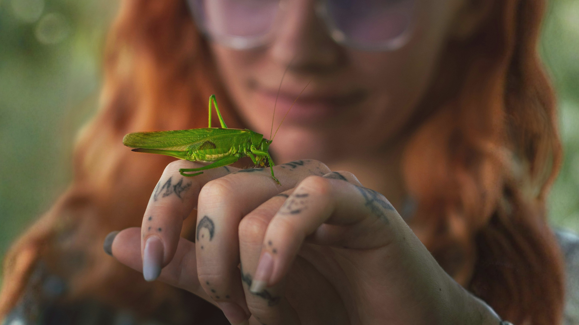 Punatukkainen, nuori nainen katselee vihreää hepokattia kätensä päällä.