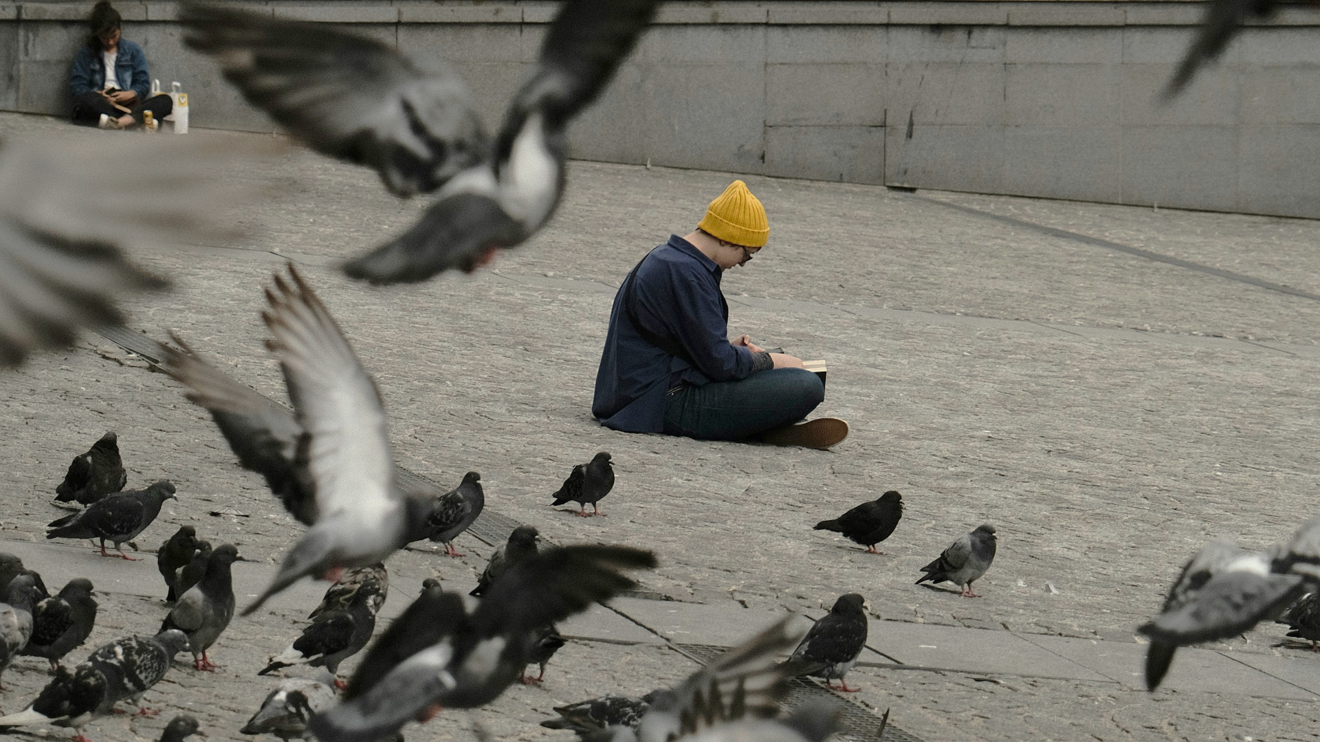 Keltapipoinen henkilö lukee kirjaa katukivetyksellä ja häntä ympäröi lokkiparvi, joista osa lentelee ympäriinsä.