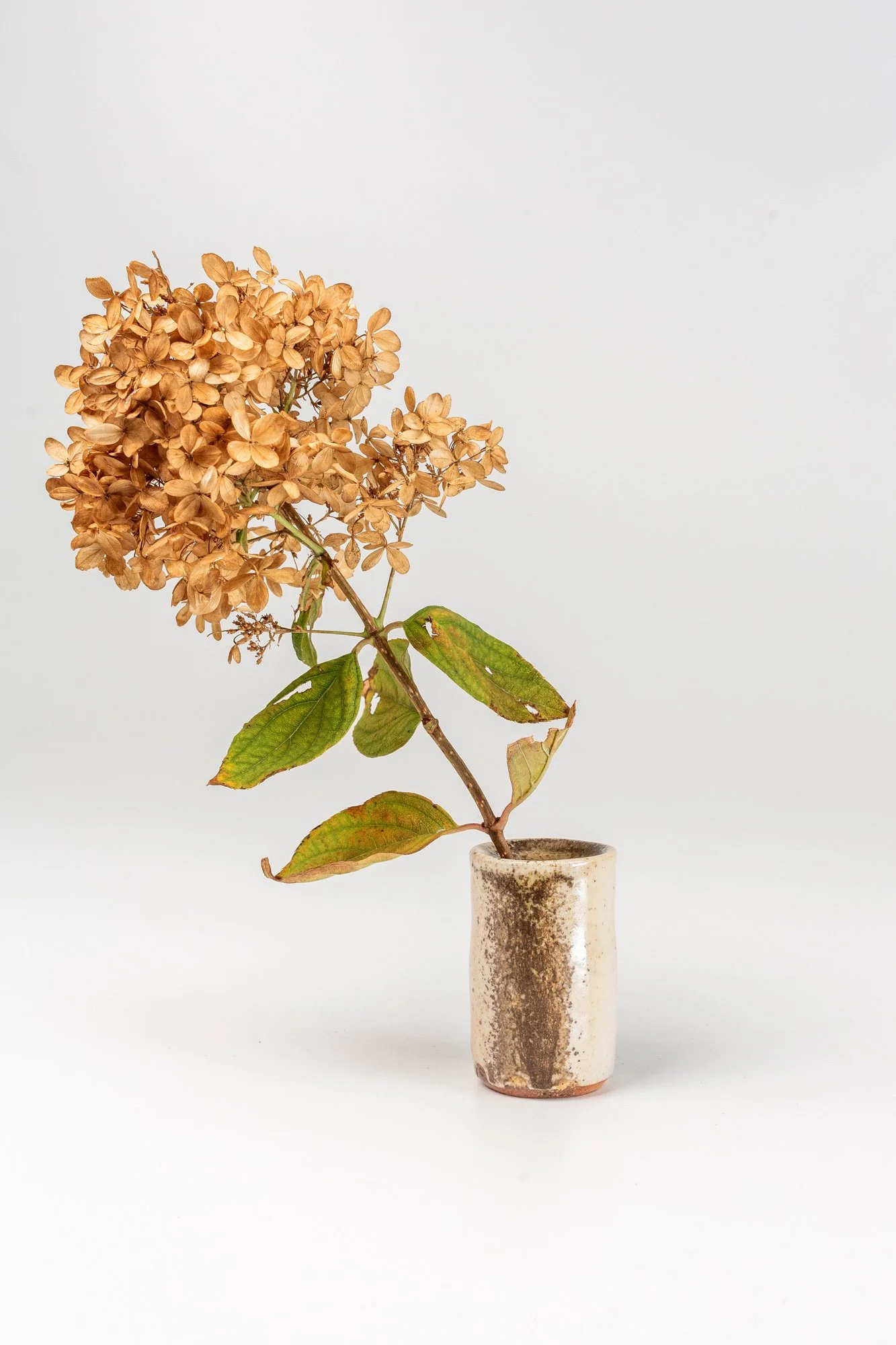 VASE  |  wood-fired stoneware, flashing slip