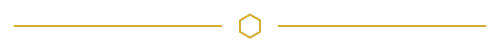 a gold divider line with a small hexagon in the middle