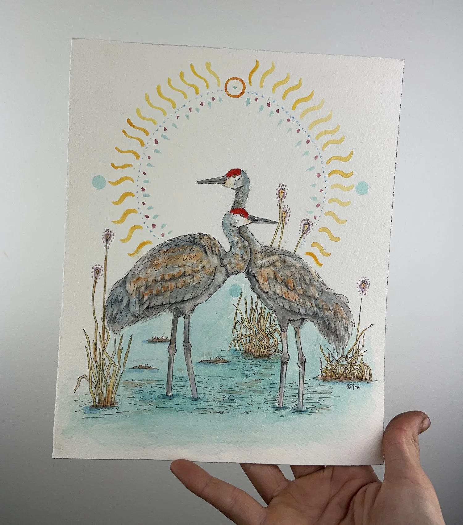 sandhill cranes high noon oriignal web.jpg