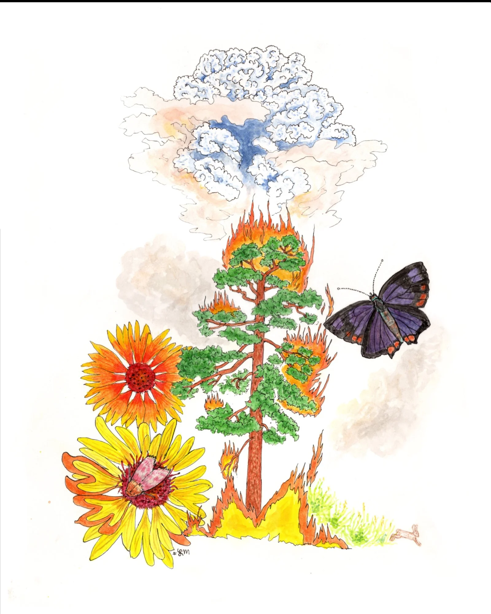 pyrocumulus 8x10 for web.jpg