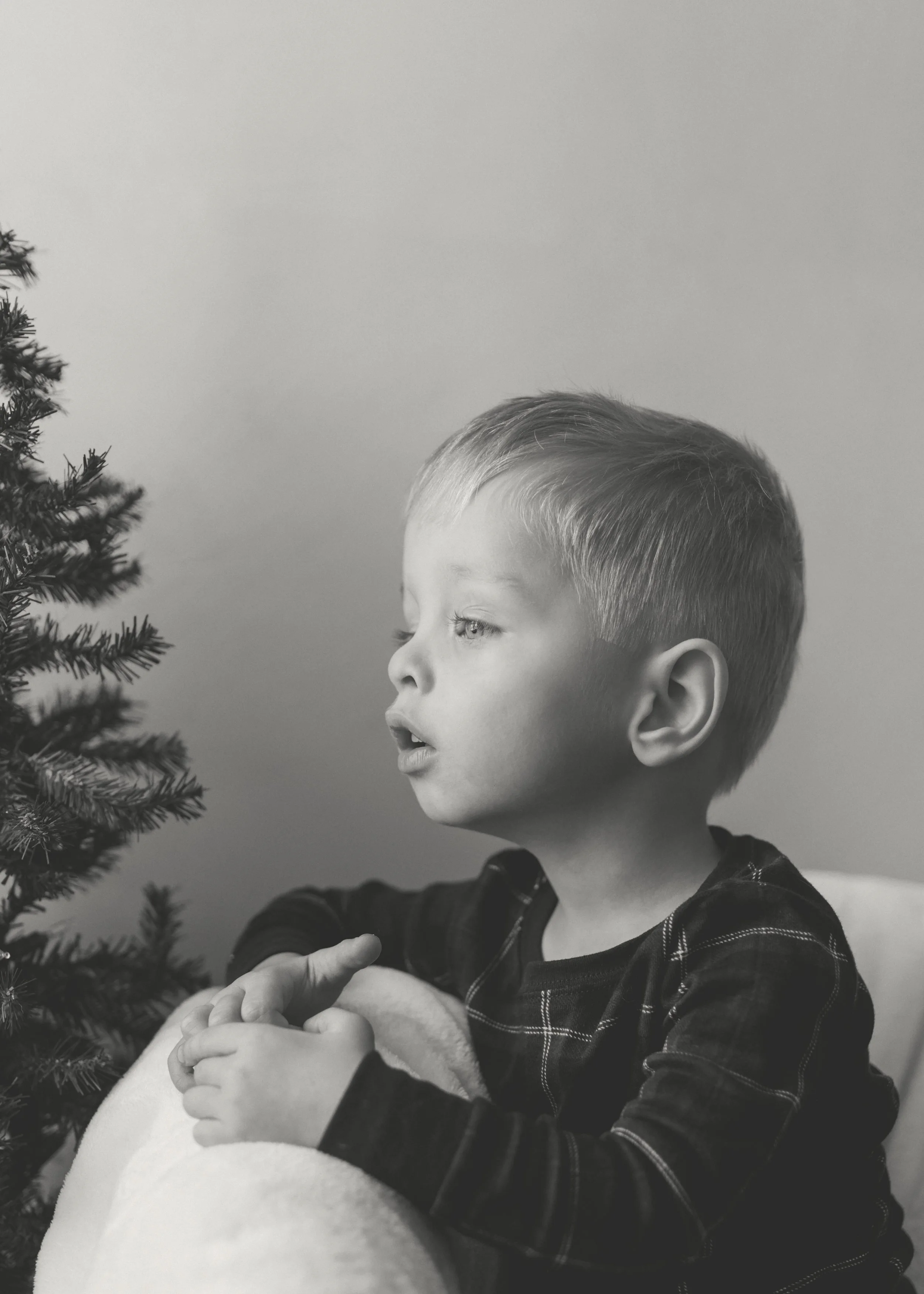 A young boy with short hair gazing at a Christmas tree, standing behind a soft blanket or cushion.
