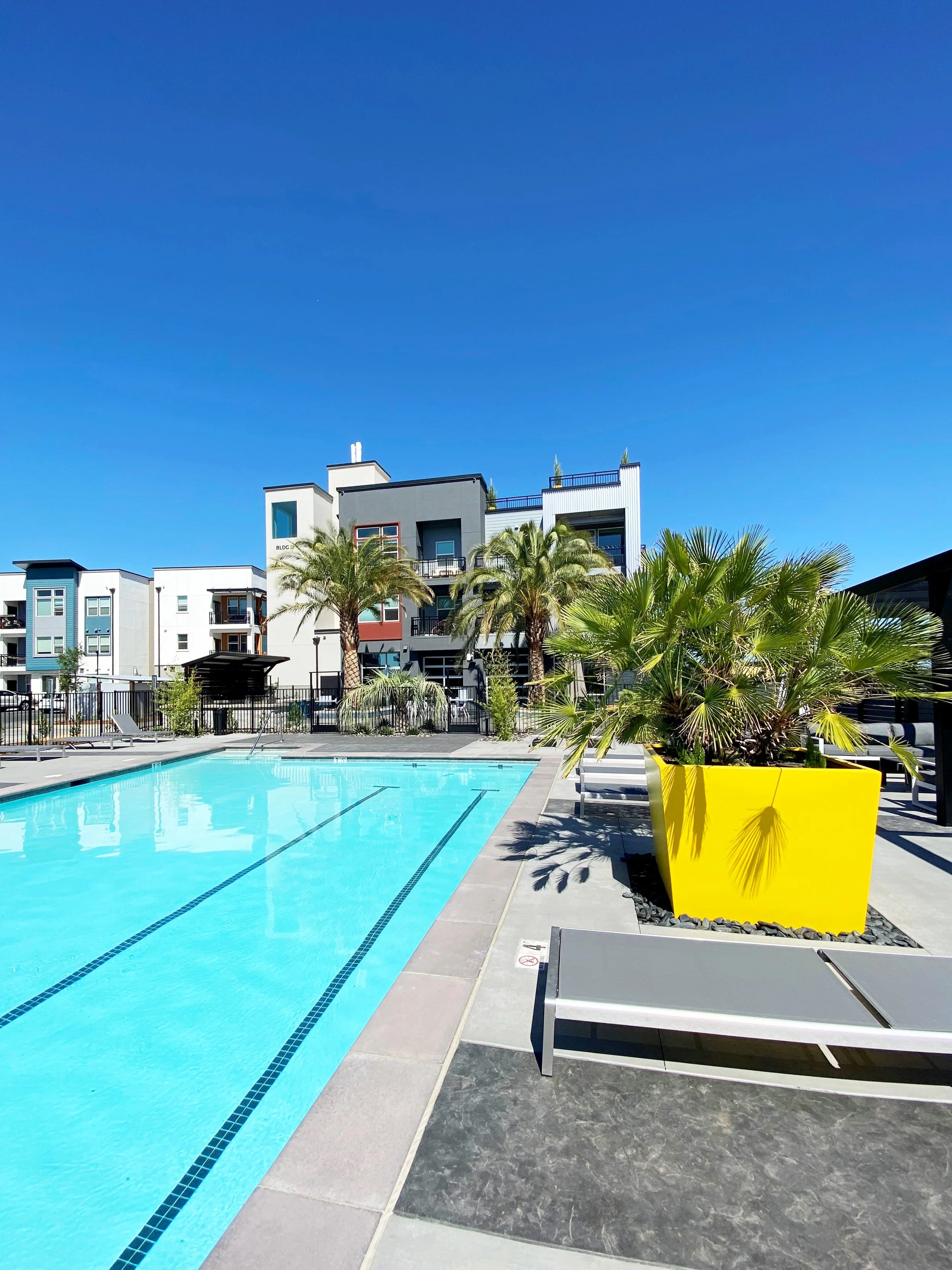 A modern outdoor swimming pool with clear blue water, surrounded by gray concrete, lounge chairs, and large yellow planter with palm trees, against a backdrop of multi-story residential buildings under a bright blue sky.