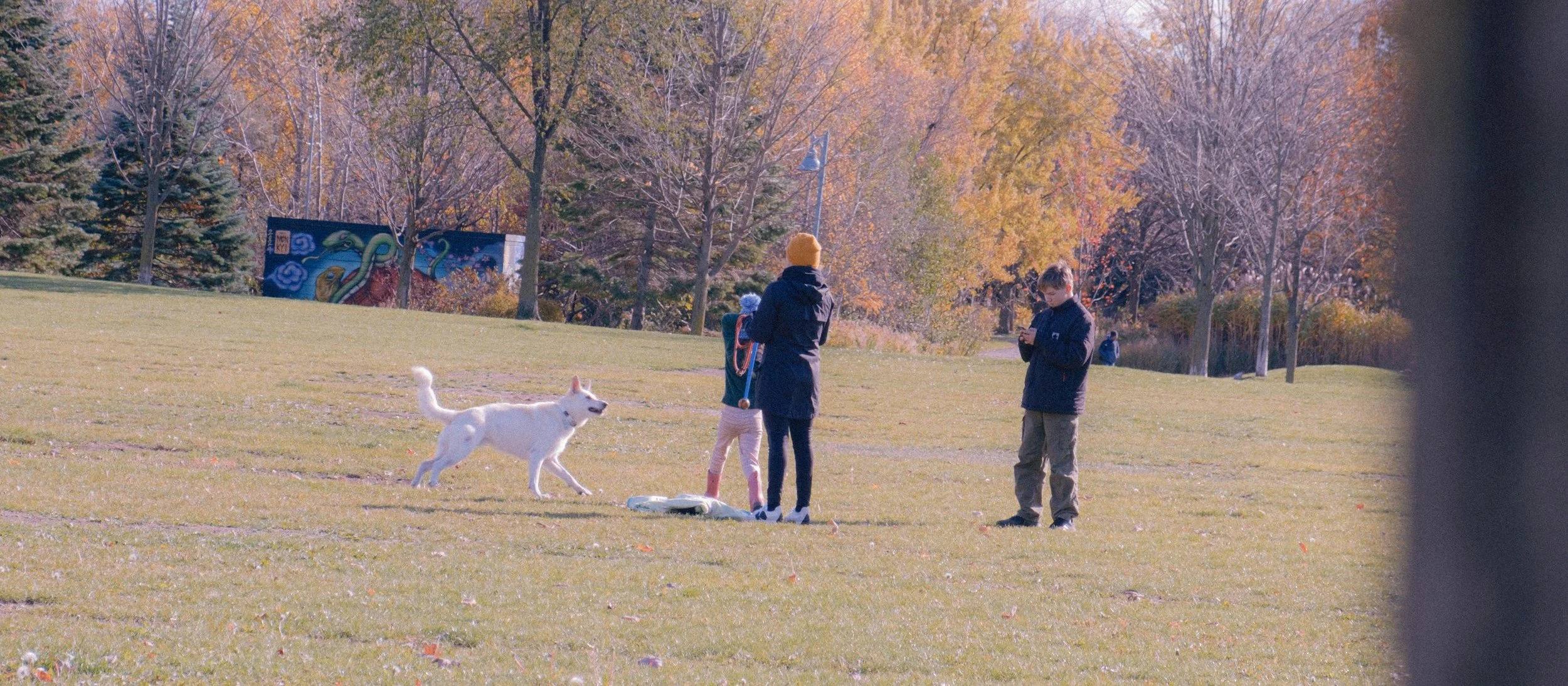 Children playing with a white dog in a park during autumn, with trees displaying fall foliage.