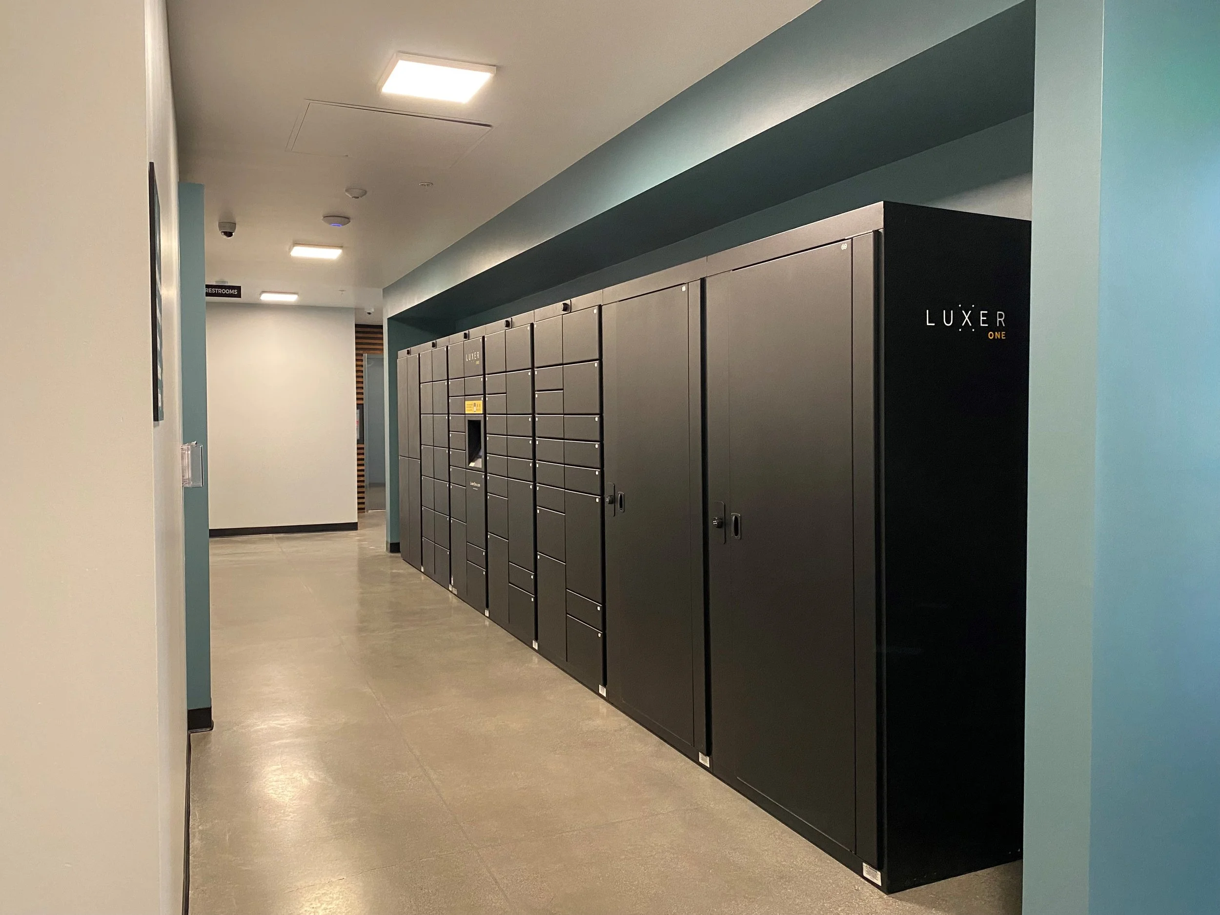 Secure Delivery Storage Lockers