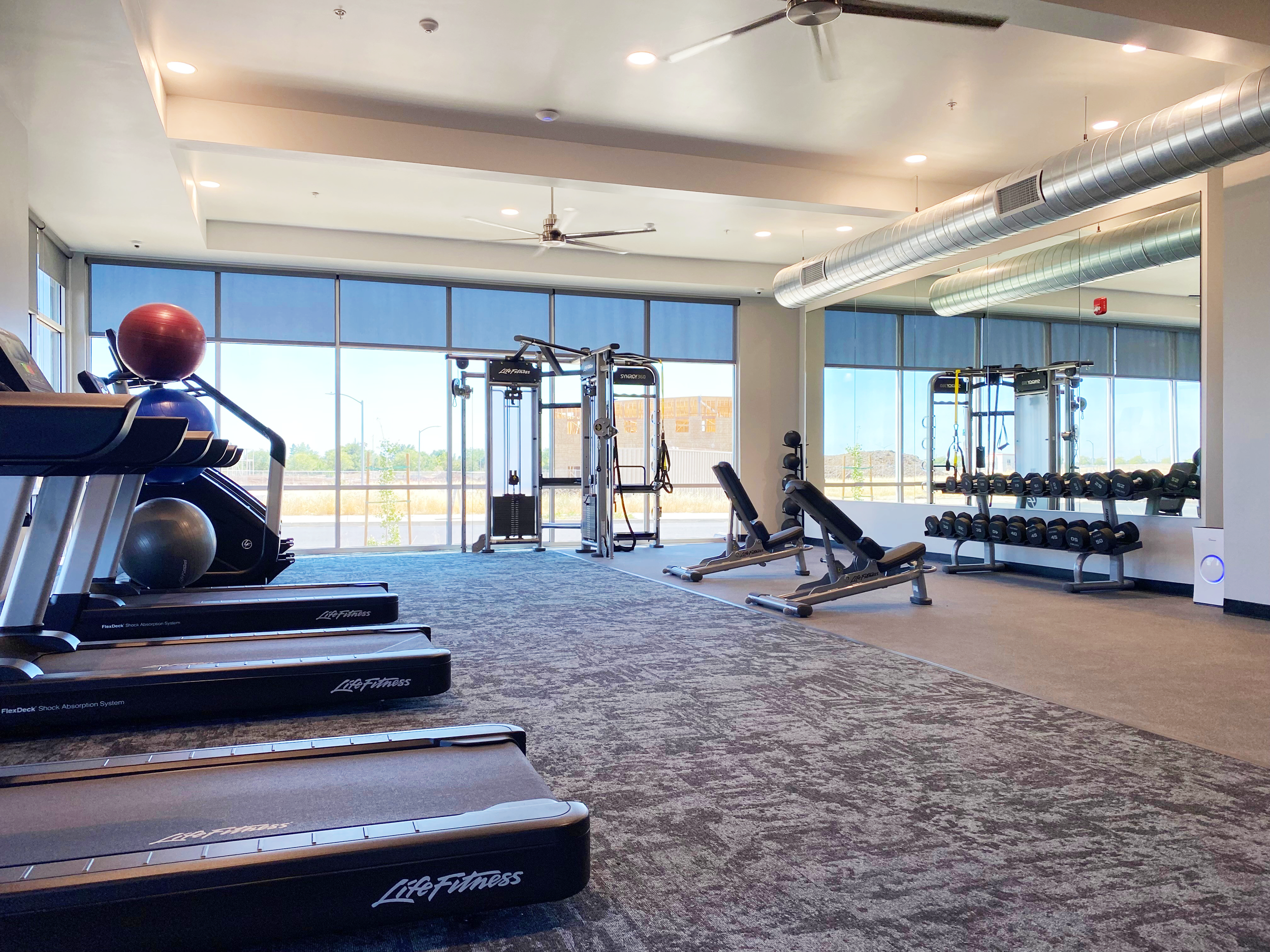 A spacious gym with large windows, exercise equipment including treadmills, weight machines, benches, dumbbells, and stability balls, with natural light streaming in.