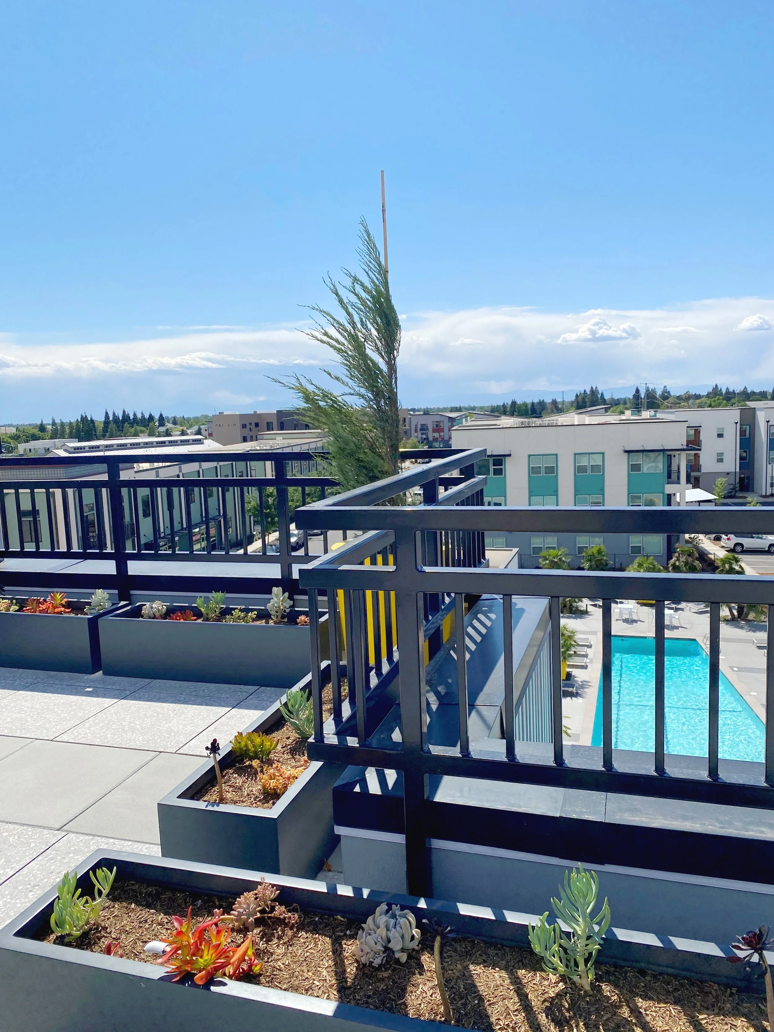 View from a balcony showing potted succulents, a black metal railing, a swimming pool, and modern apartment buildings under a partly cloudy sky.