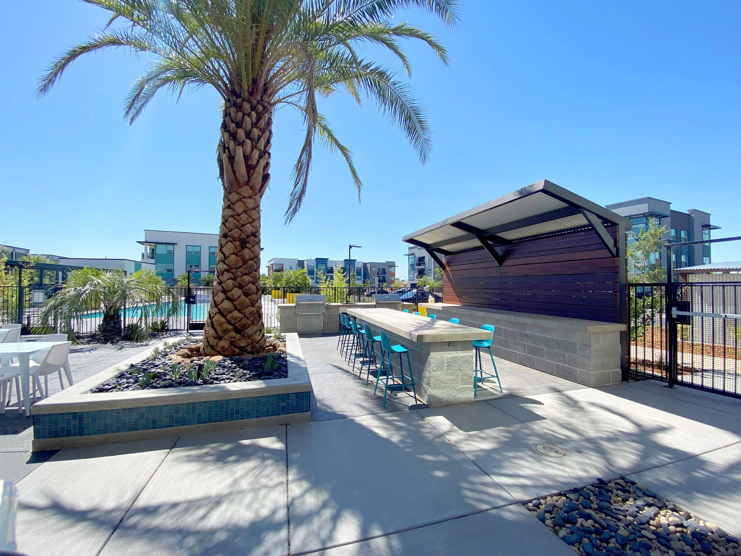 Outdoor pool area with a tall palm tree, a shaded bar or seating area with blue stools, a privacy screen, and modern apartment buildings in the background on a sunny day.