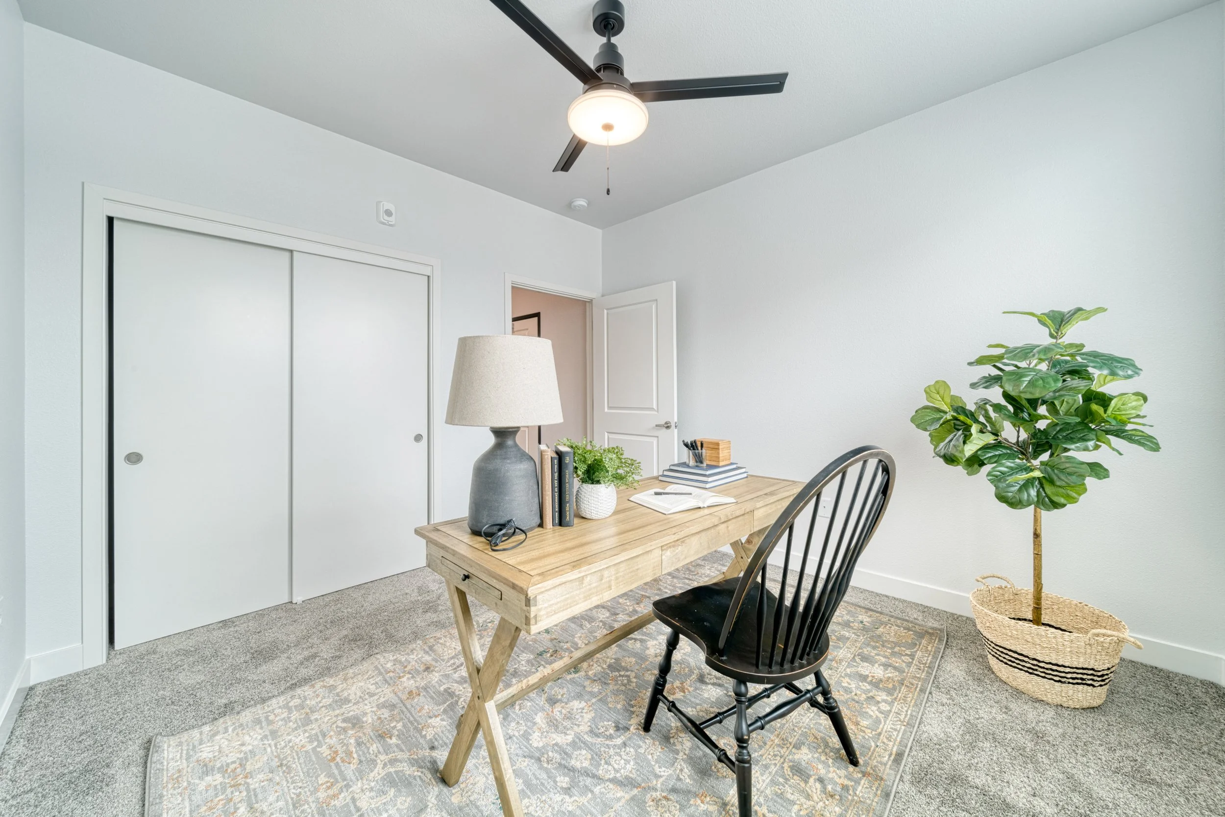 A home office with a wooden desk, black chair, lamp, books, and a large green plant in a woven basket, all on a patterned rug in a room with white walls and a ceiling fan.